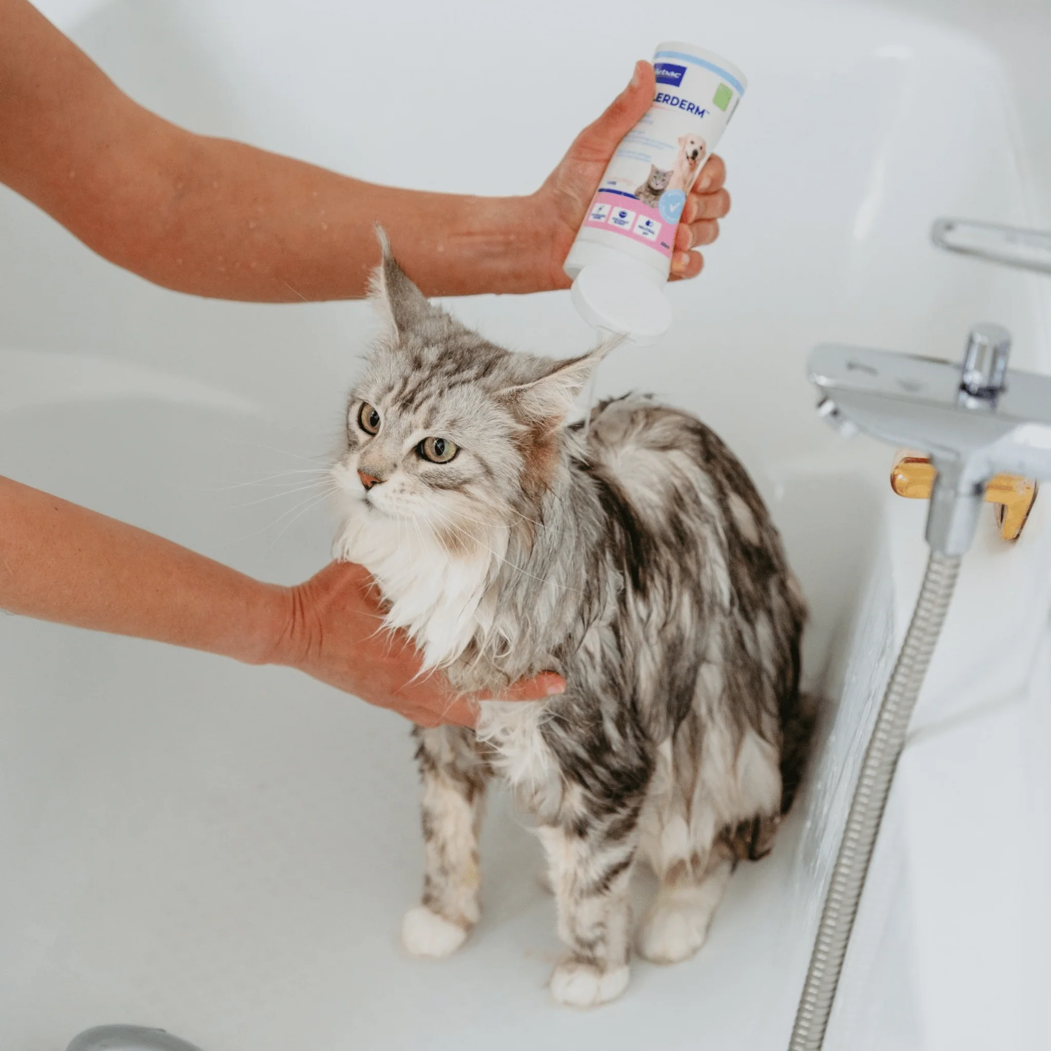 Allerderm Shampoo for Cats & Dogs - Dry & Scaly Skin 250ml - Image 4