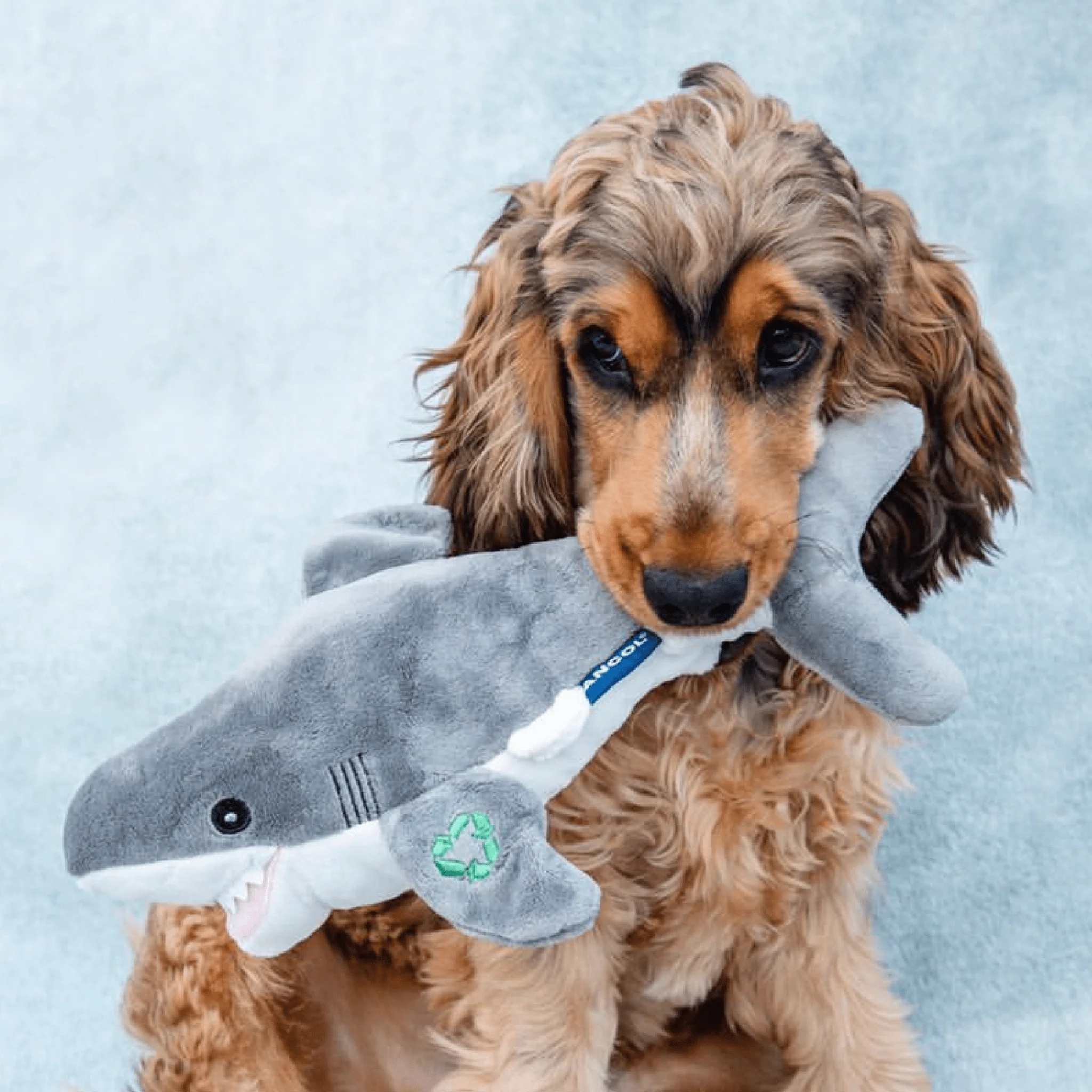 Ancol Made From Shark Dog Toy - Image 2