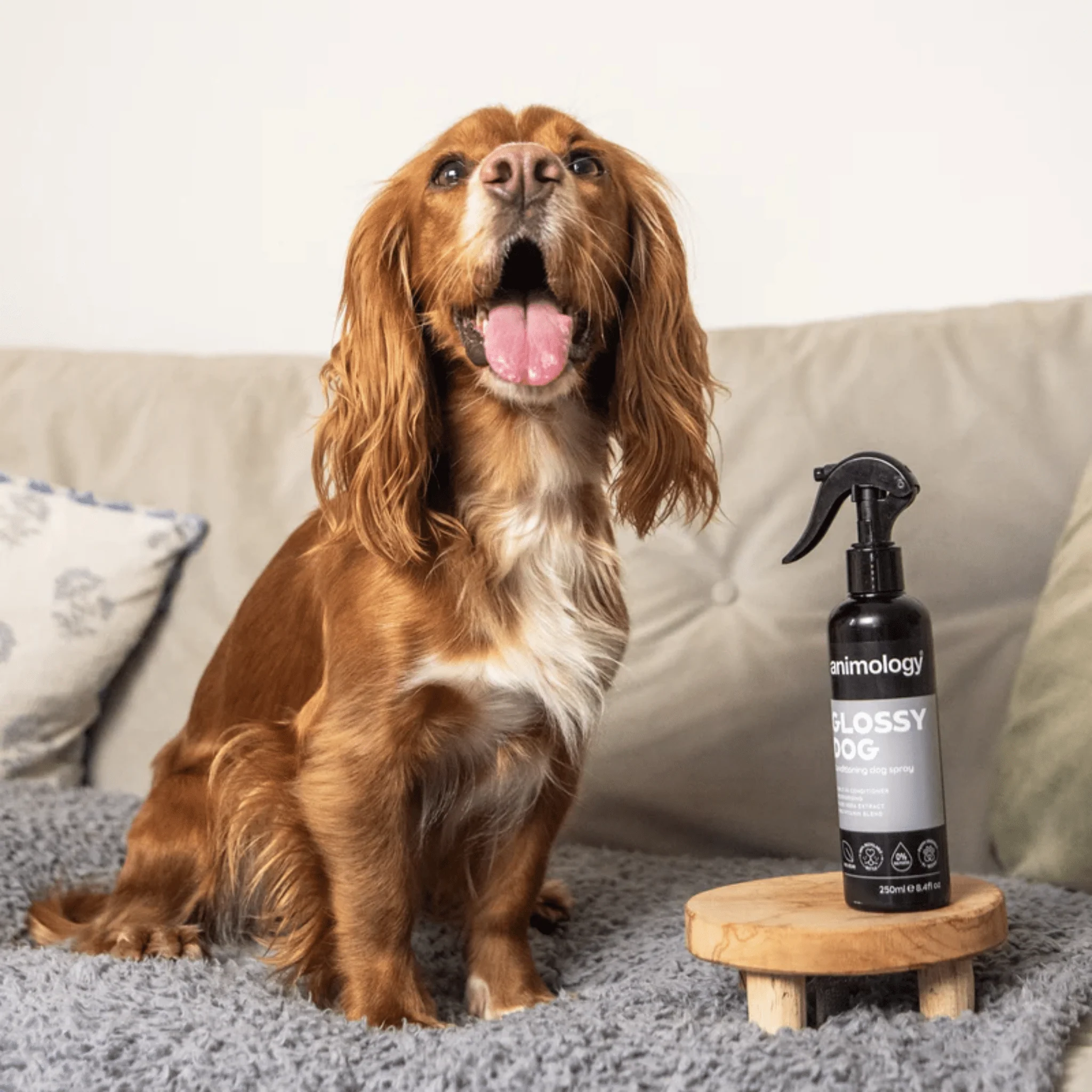 Animology Glossy Dog Conditioning Dog Spray 250ml - Image 3