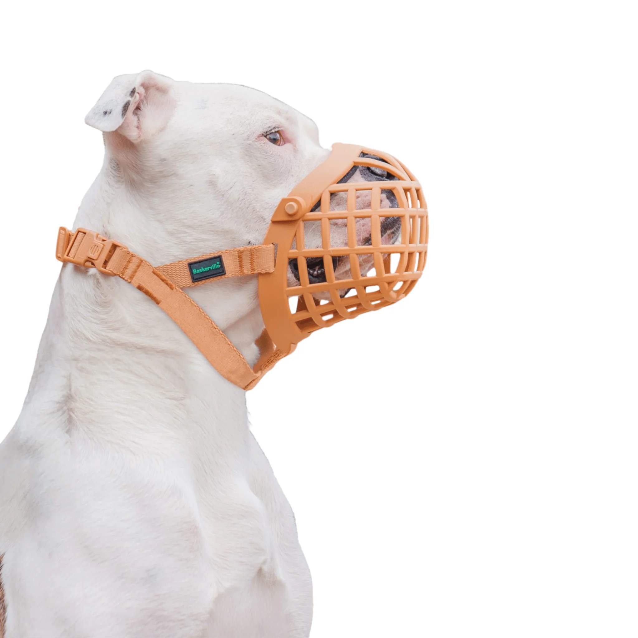 Baskerville WIDE FIT Dog Muzzle - Image 2