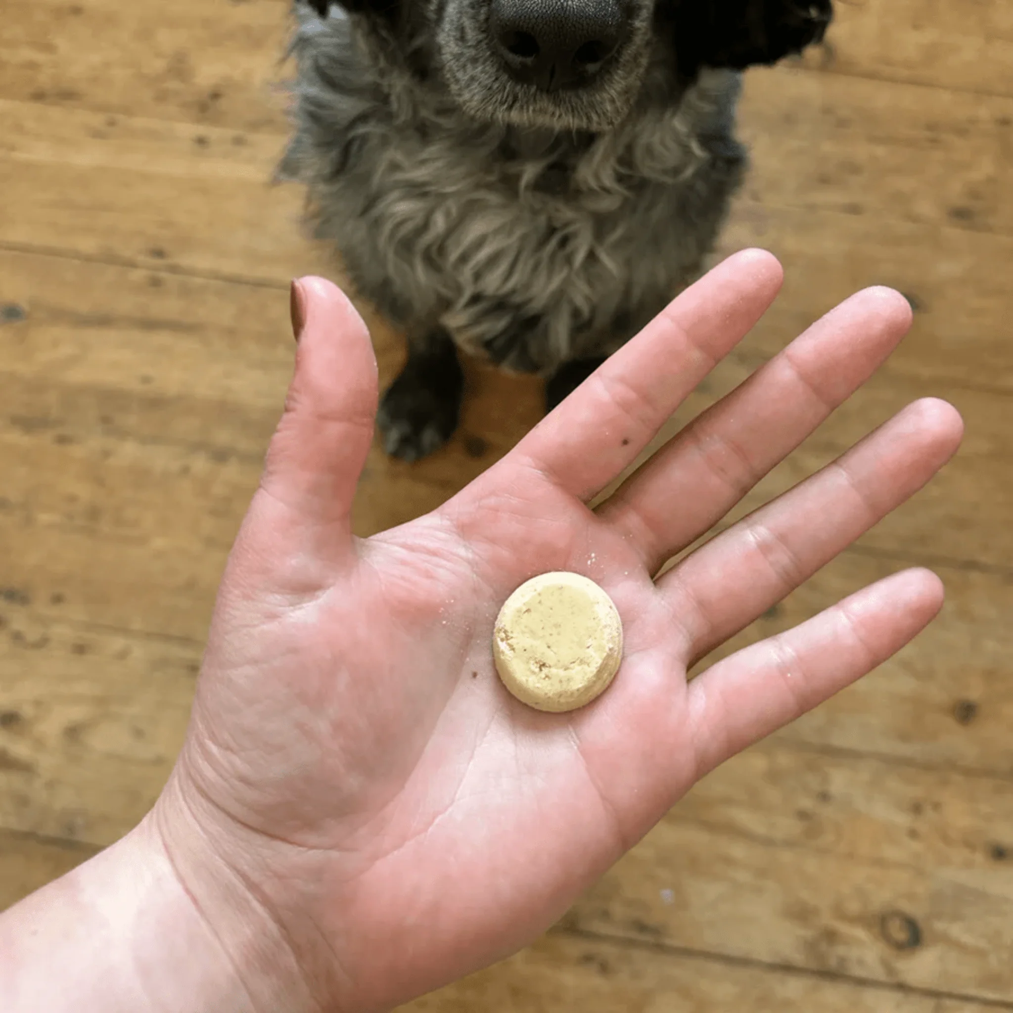 Beco Chicken Liver with Parsnip Dog Treats - Image 3
