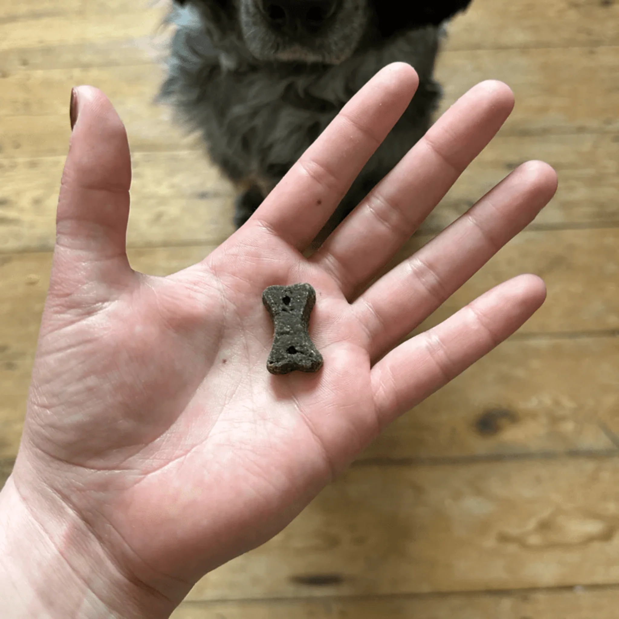 Beco Dog Choc Treats with Chamomile and Quinoa - Image 3