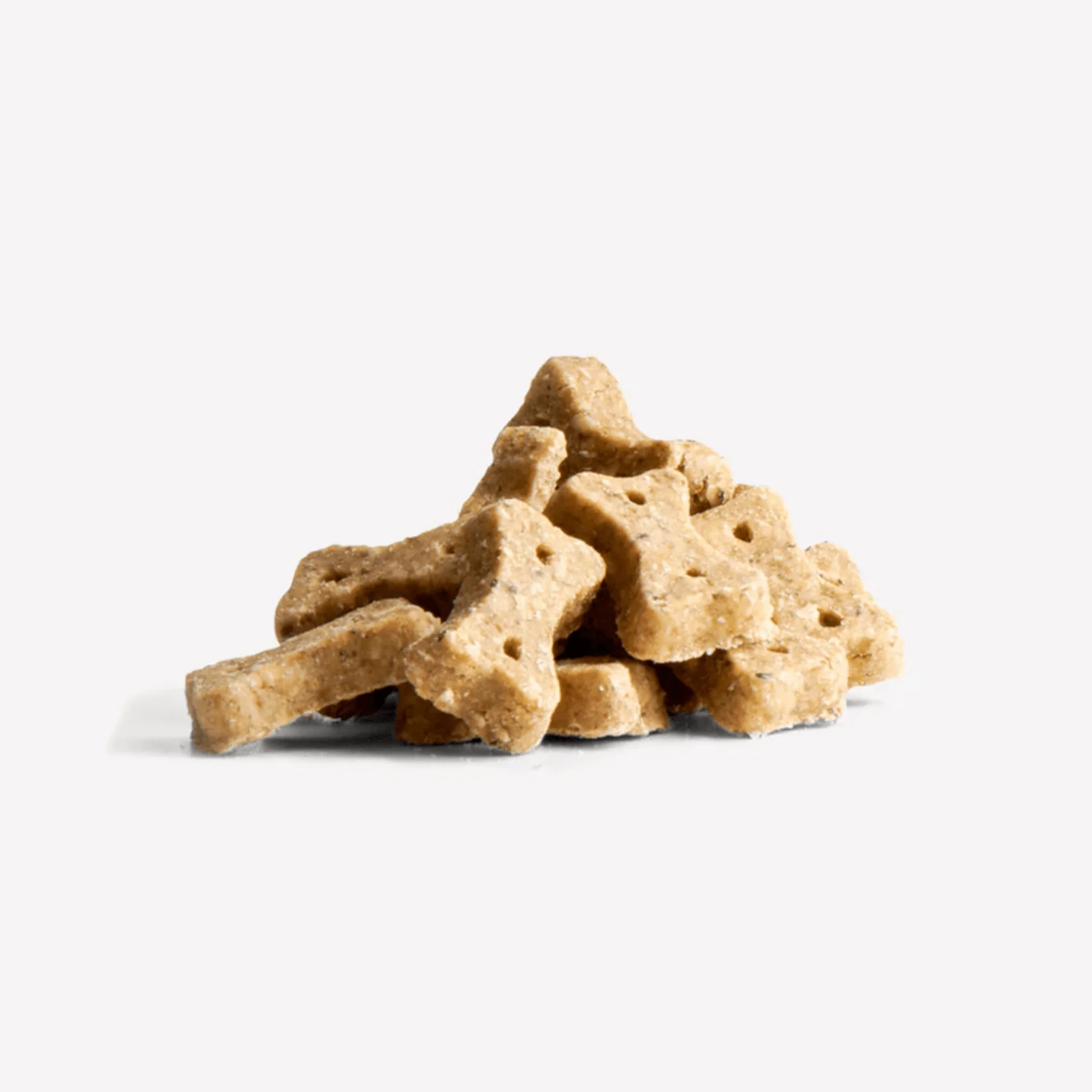 Beco Insect with Apple and Seeds Dog Treats - Image 2