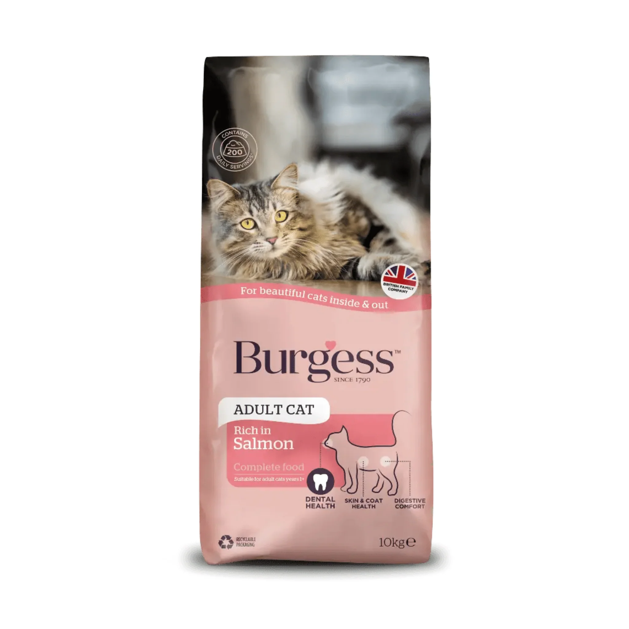 Burgess Adult Cat Scottish Salmon Dry Food - Image 3