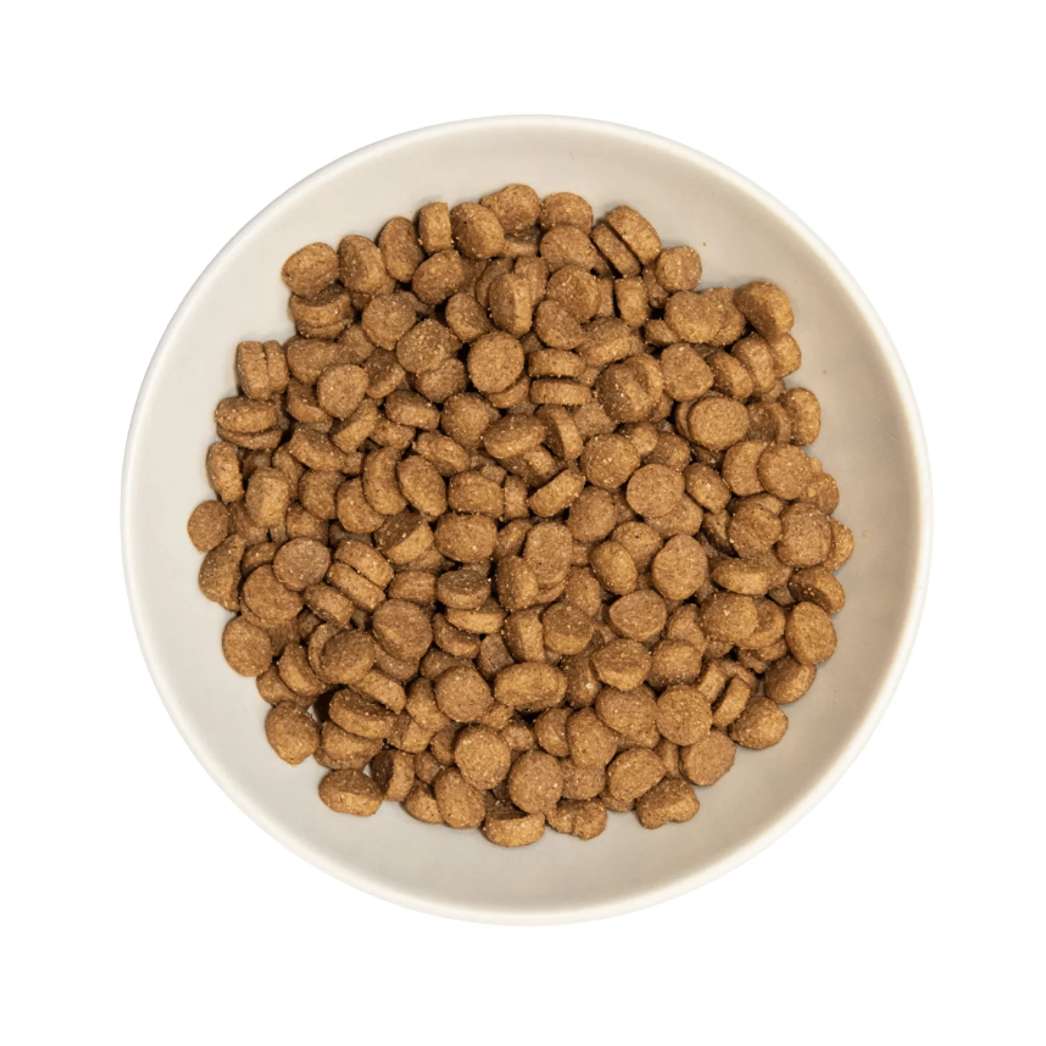 Burns Kitten Chicken & Rice - Image 2