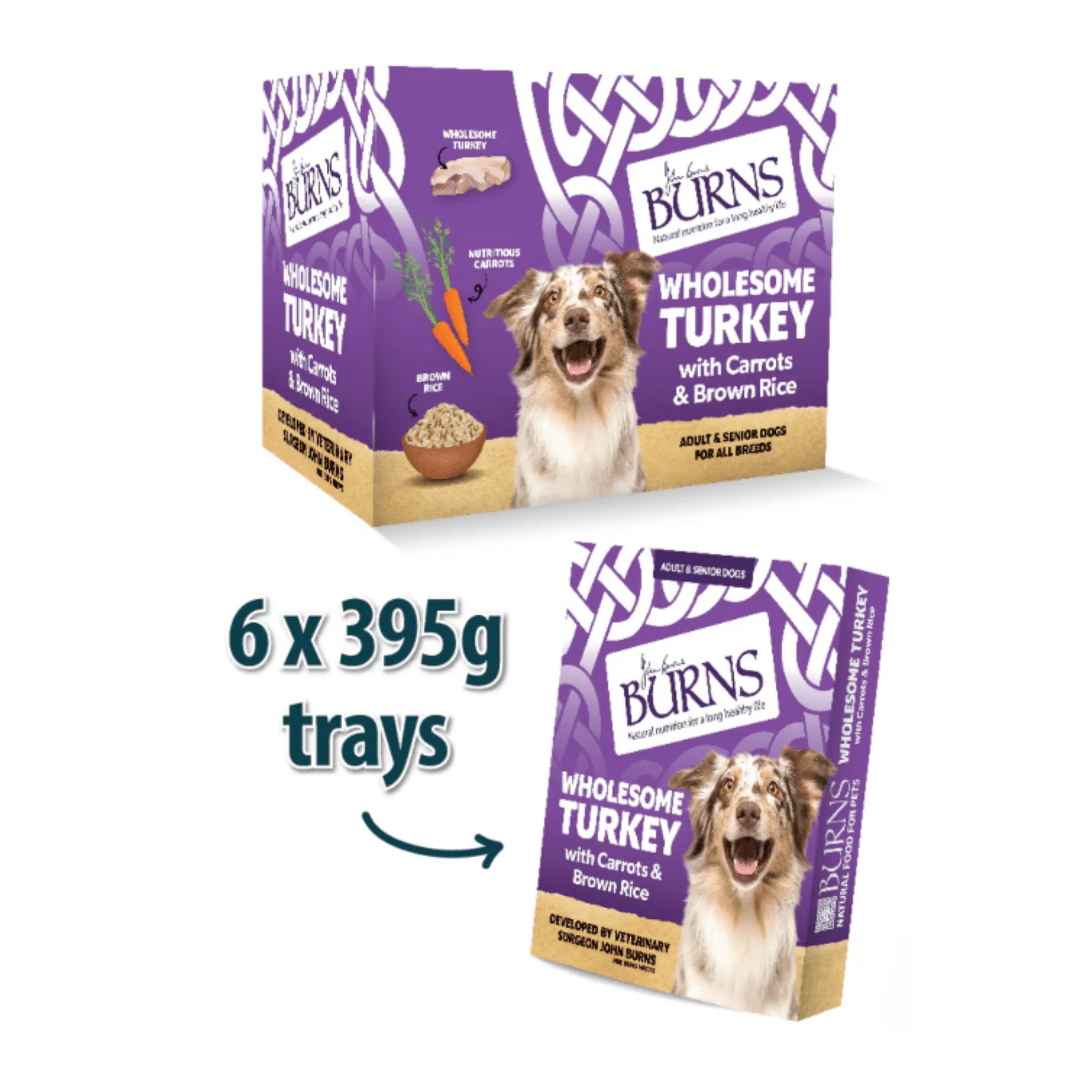 Burns Wholesome Turkey Wet Dog Food - Image 3