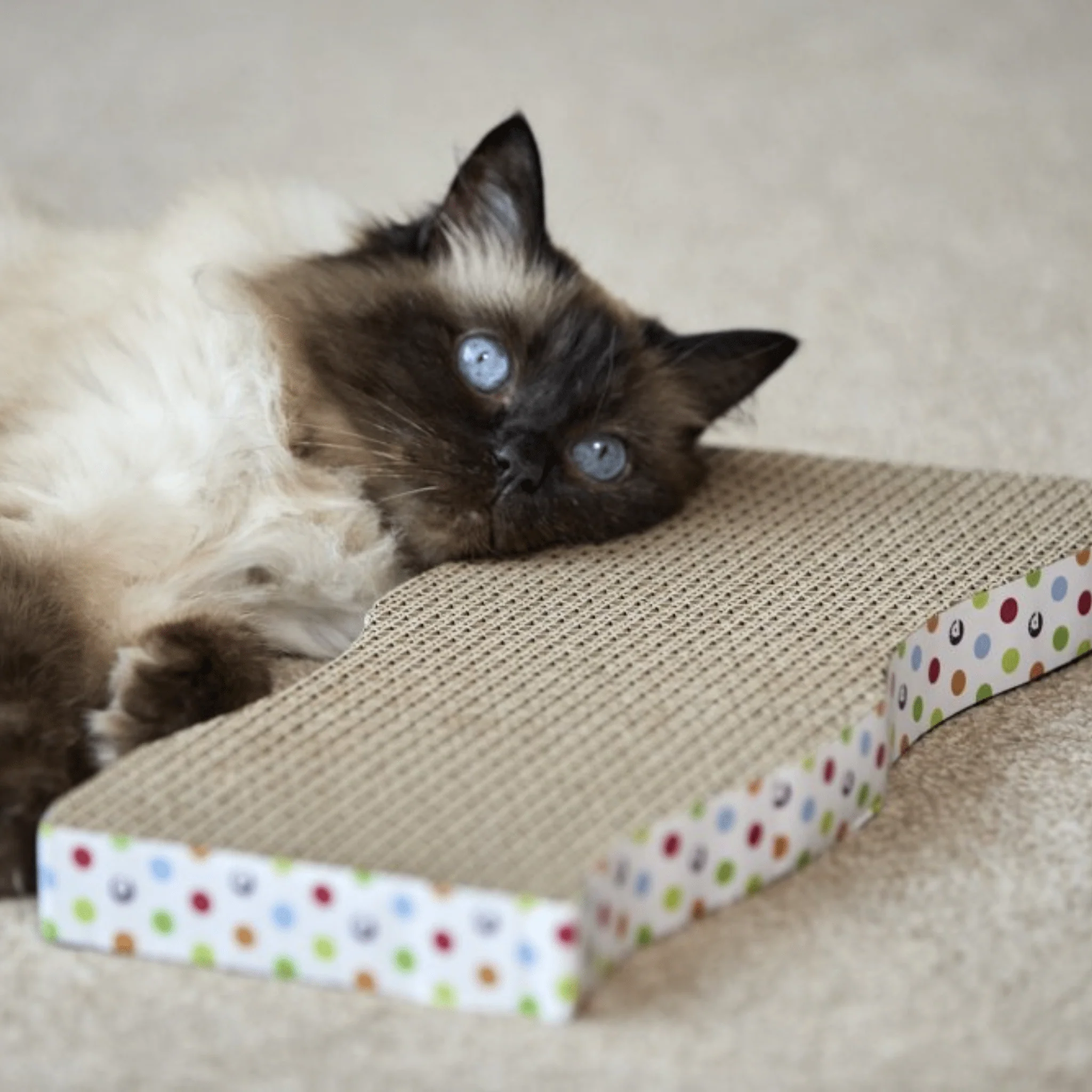 Catkins Cardboard Wave Cat Scratcher - Image 6
