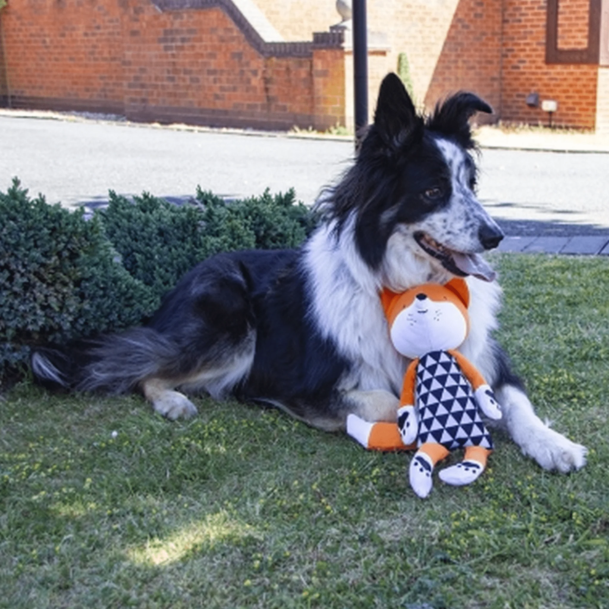 Chubleez Mr Fox Dog Toy - Image 5
