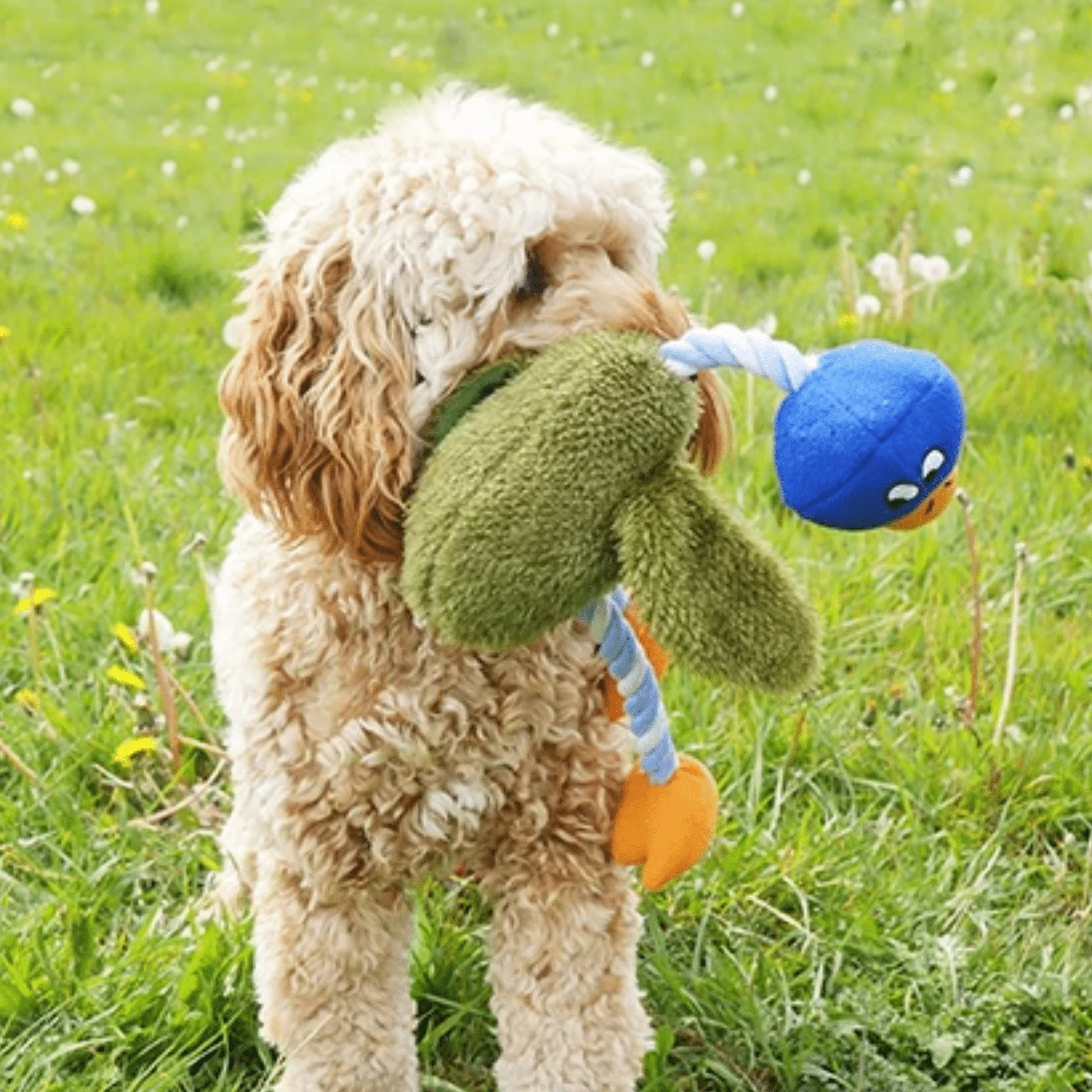Delia Duck Twister Toy 16" - Image 3