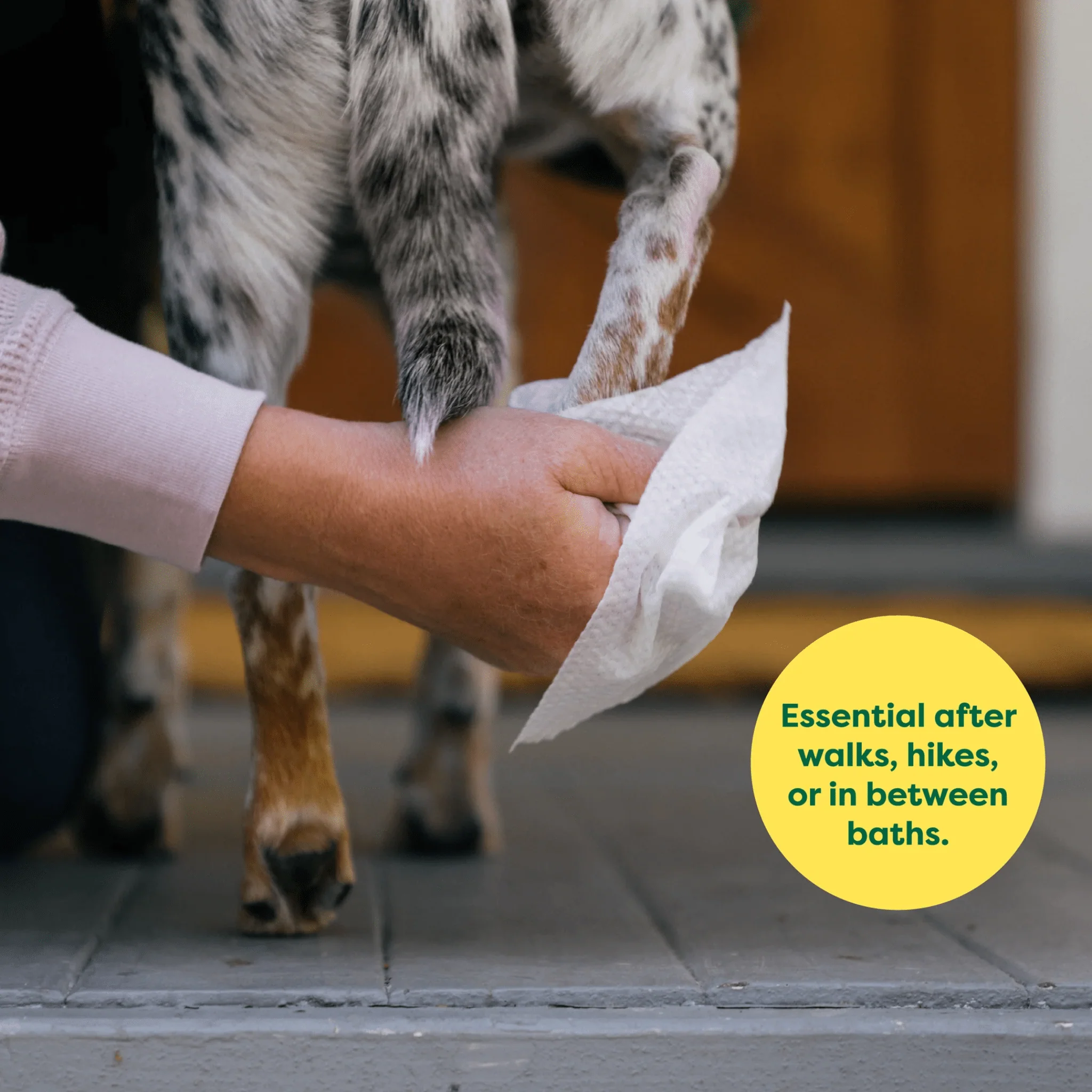 Earth Rated Dog Grooming Wipes - Image 5