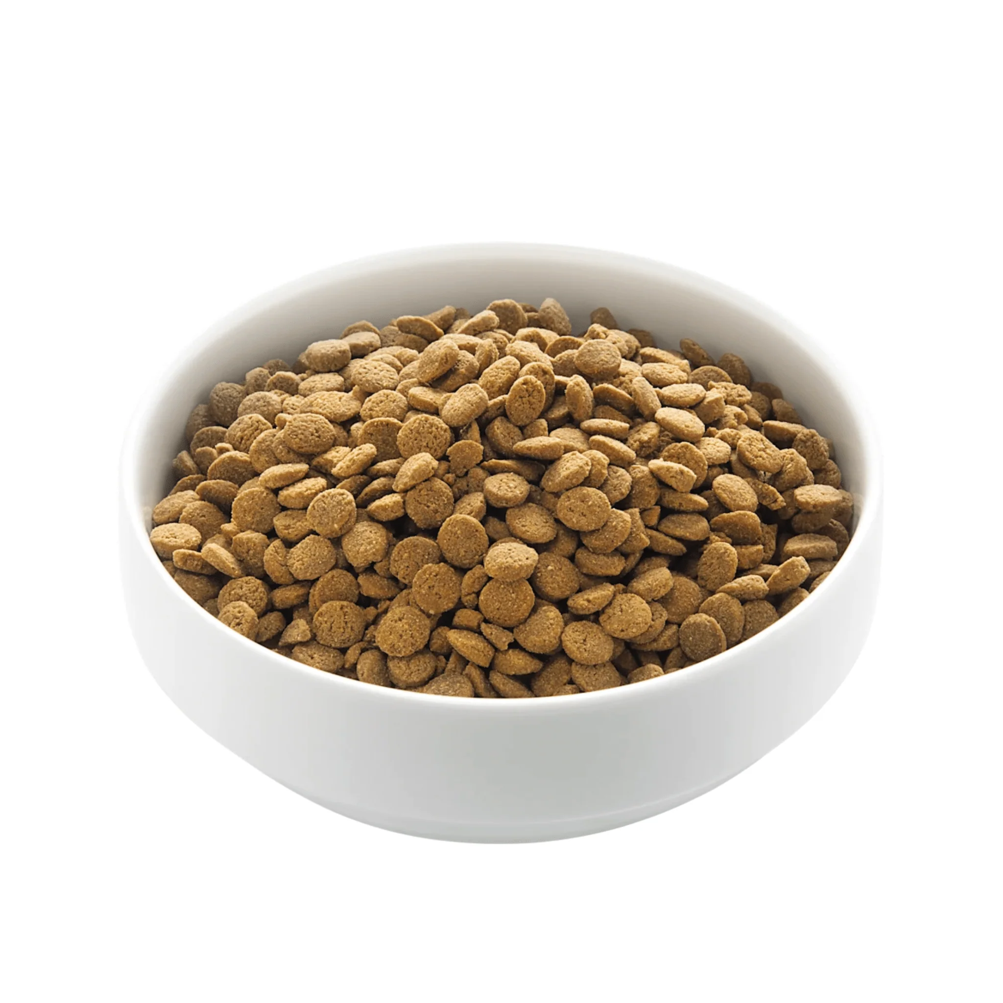 Edgard & Cooper Salmon Dry Adult Dog Food - Image 2