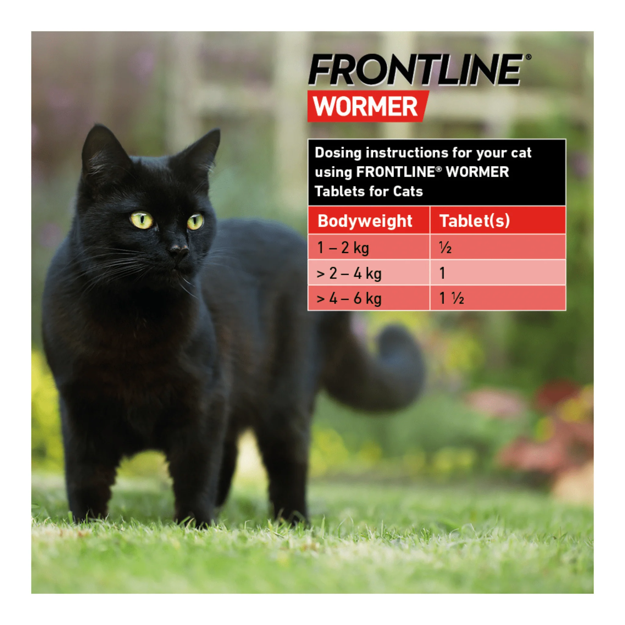 Frontline® Wormer For Cats - 2 Pack - Image 3