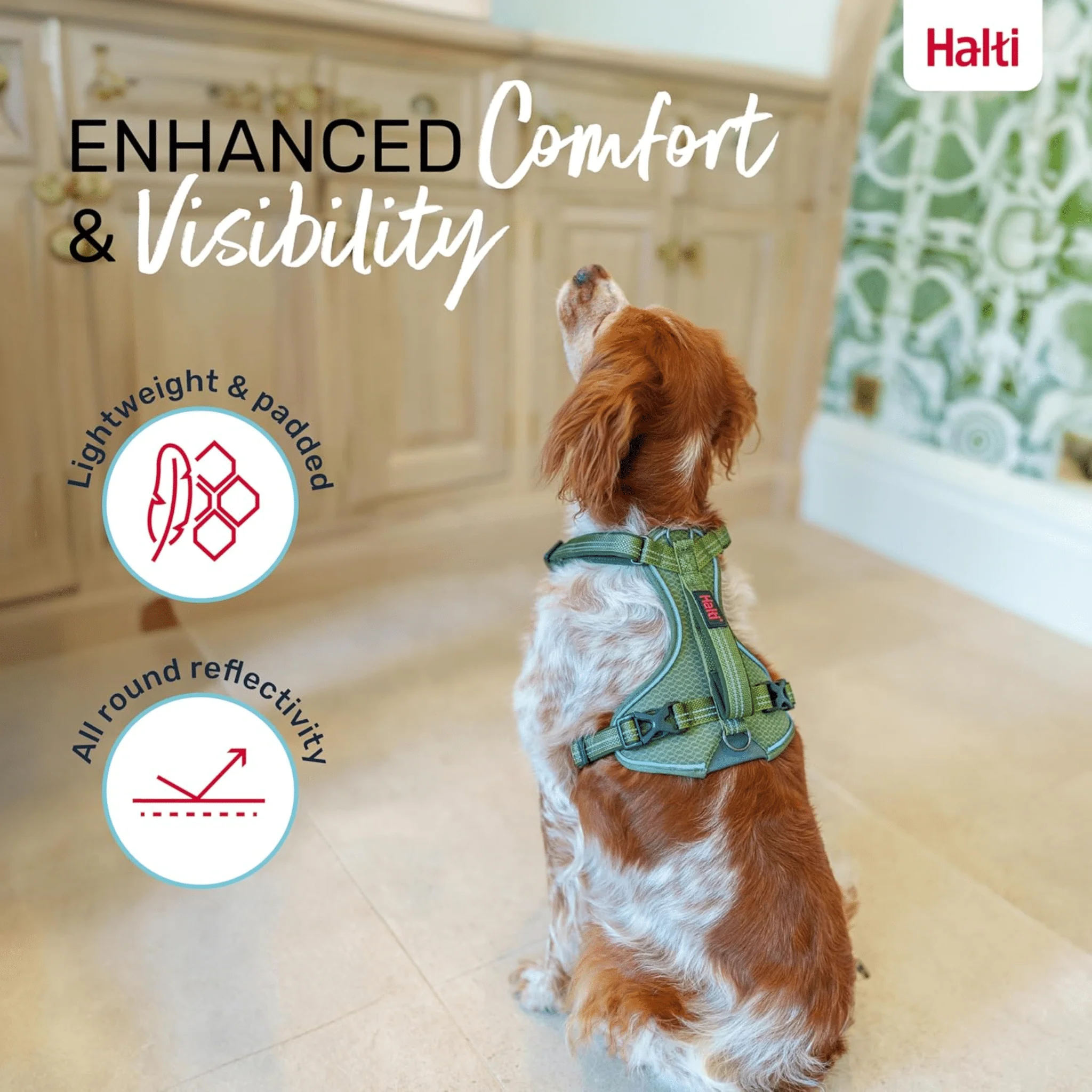 Halti Anatomy Harness - Grey - Image 3