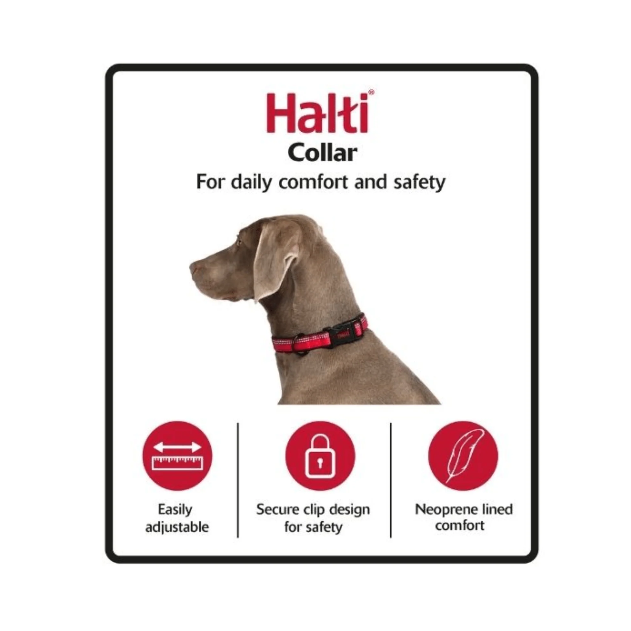 Halti Comfort Dog Collar - Purple - Image 4