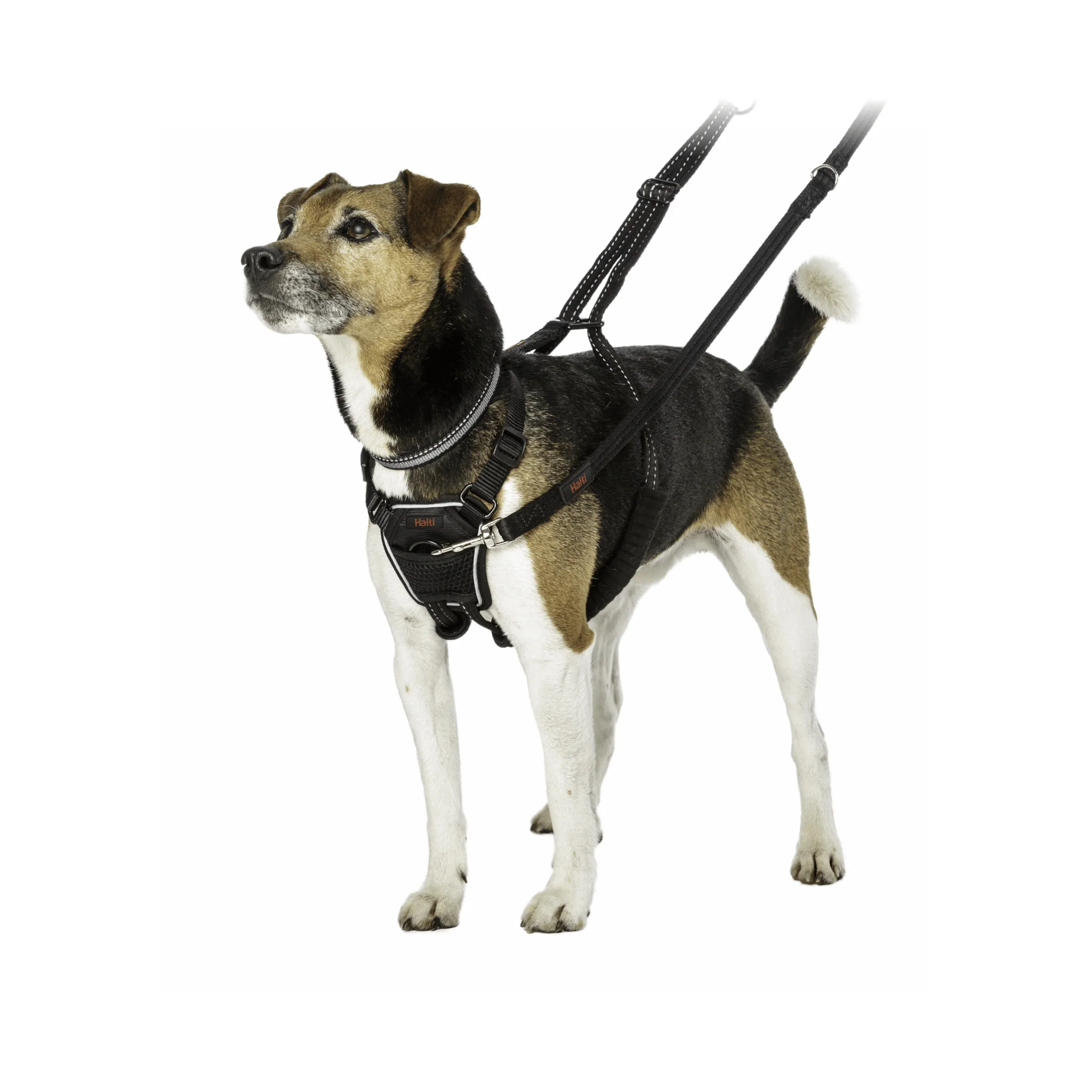 Halti No Pull Dog Harness - Black - Image 5