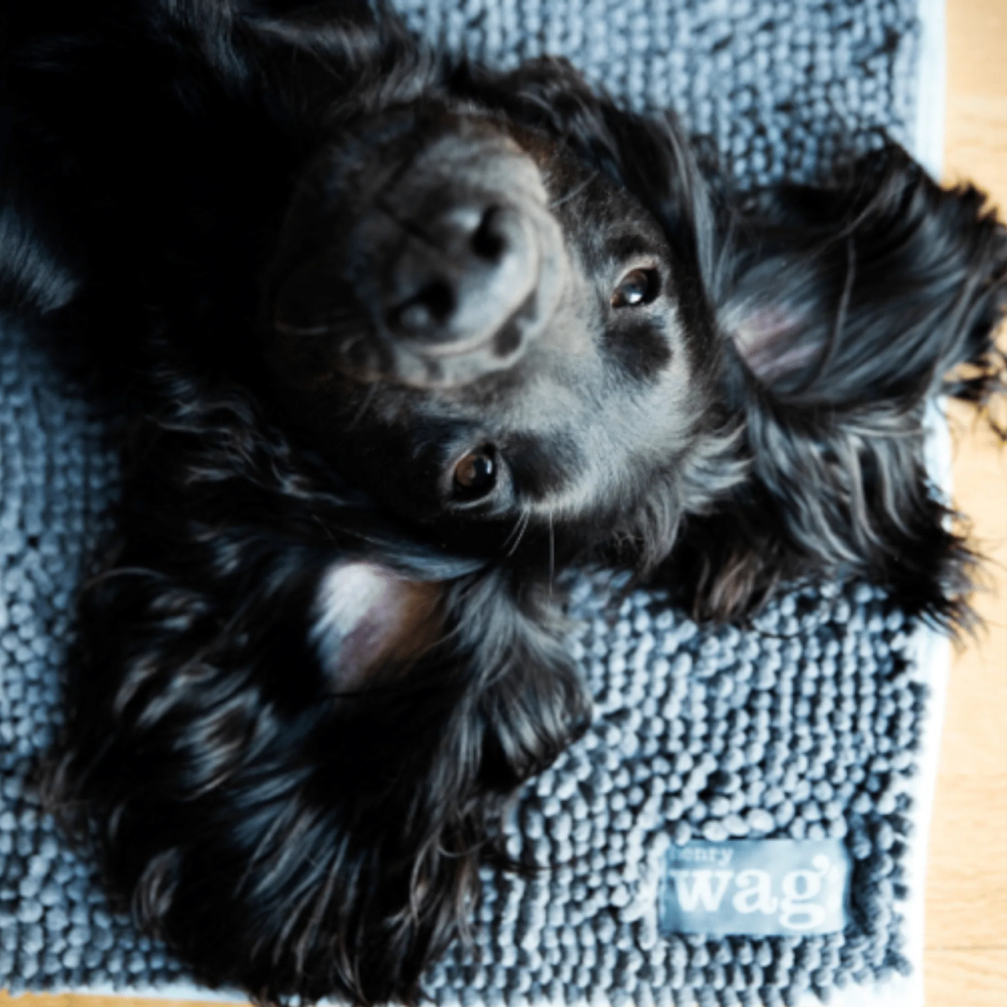 Henry Wag Microfibre Noodle Pet Mat - Image 2