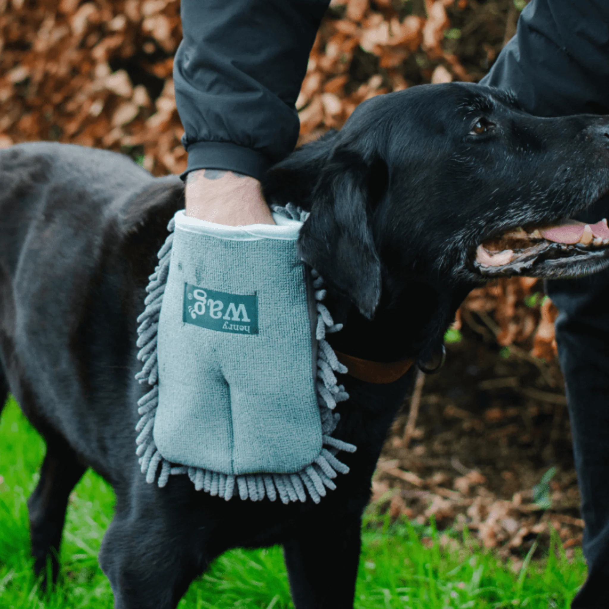 Henry Wag Microfibre Pet Drying Glove - Image 2
