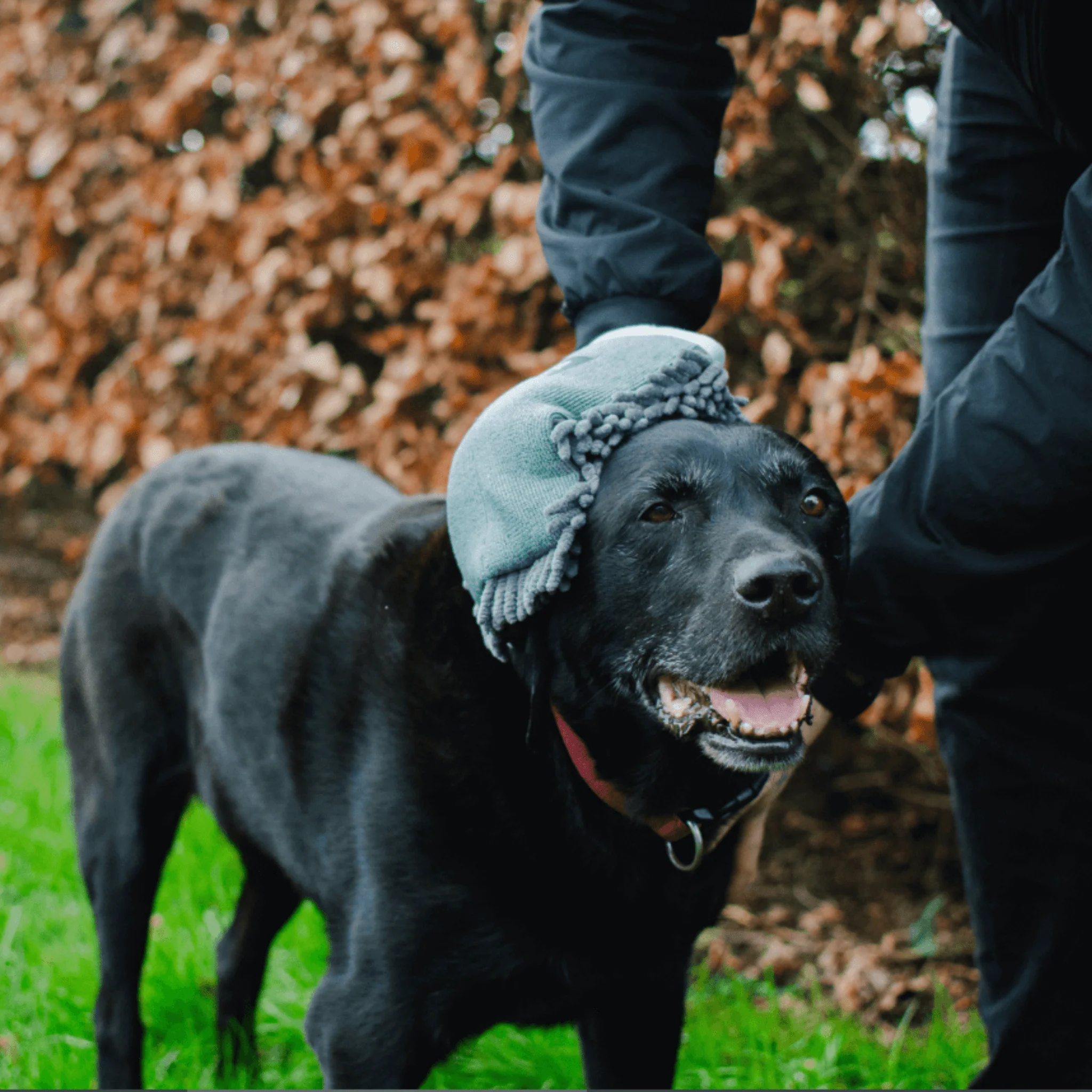 Henry Wag Microfibre Pet Drying Glove - Image 3