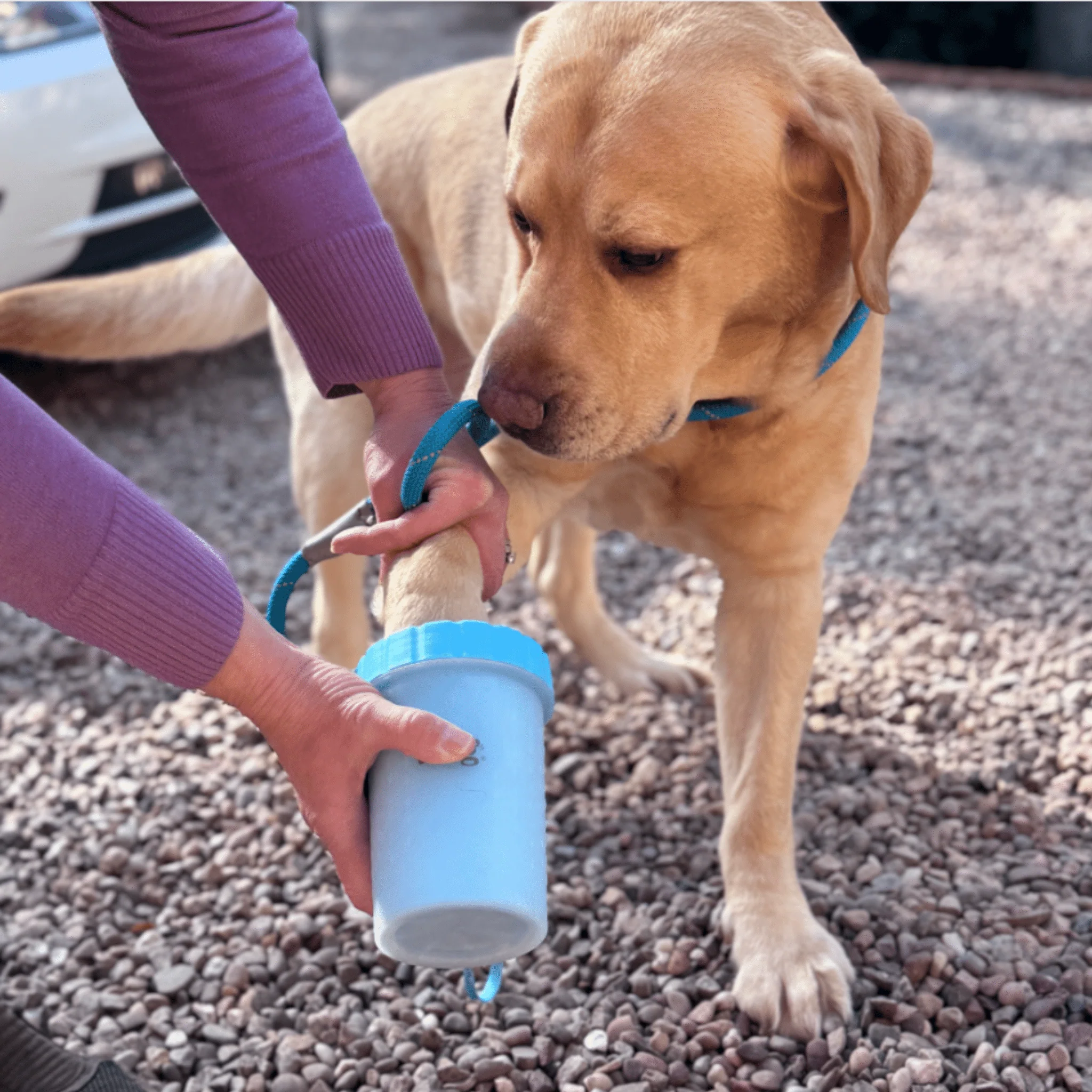 Henry Wag Pet Paw Cleaner - Image 2
