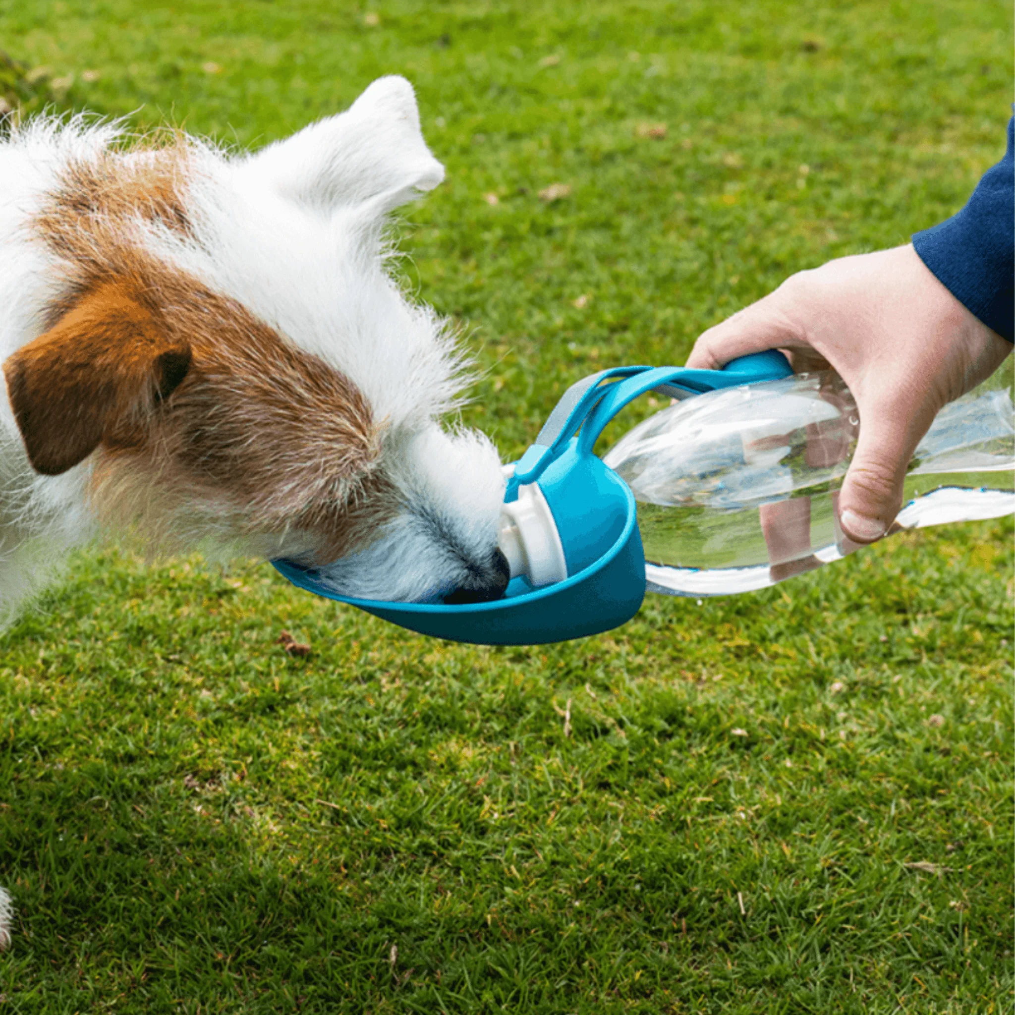 Henry Wag Pet Water Bottle With Leaf Bowl - Image 2