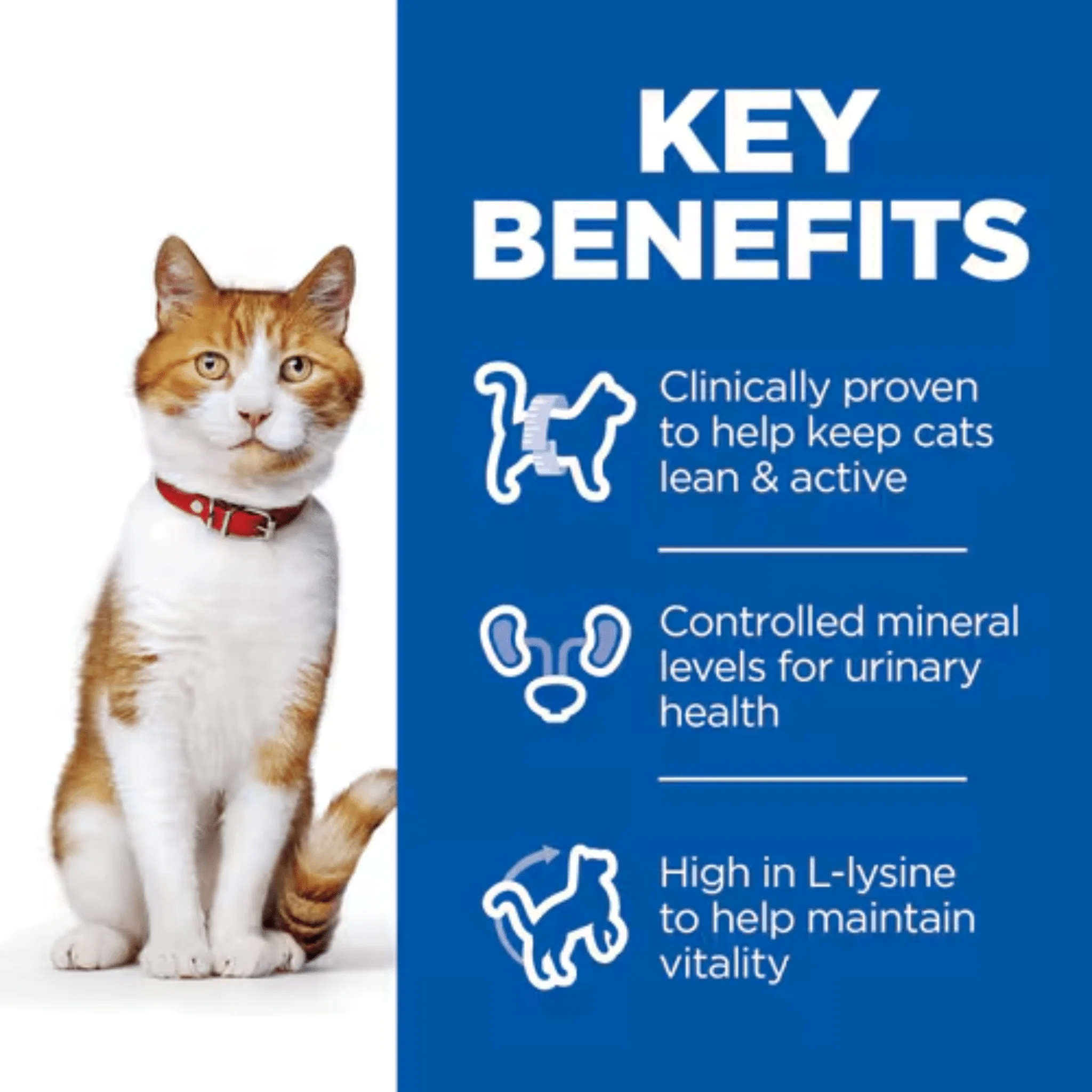 Hill's Perfect Sterilised Multipack Wet Cat Food - Image 3