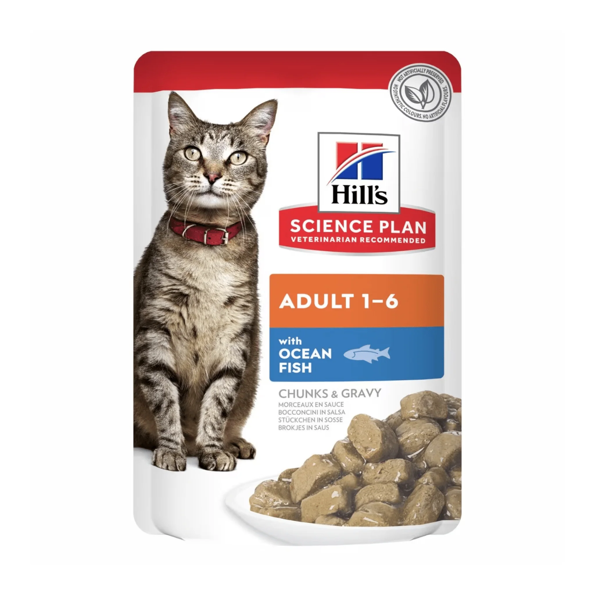 Hill's Adult Wet Cat Food with Ocean Fish