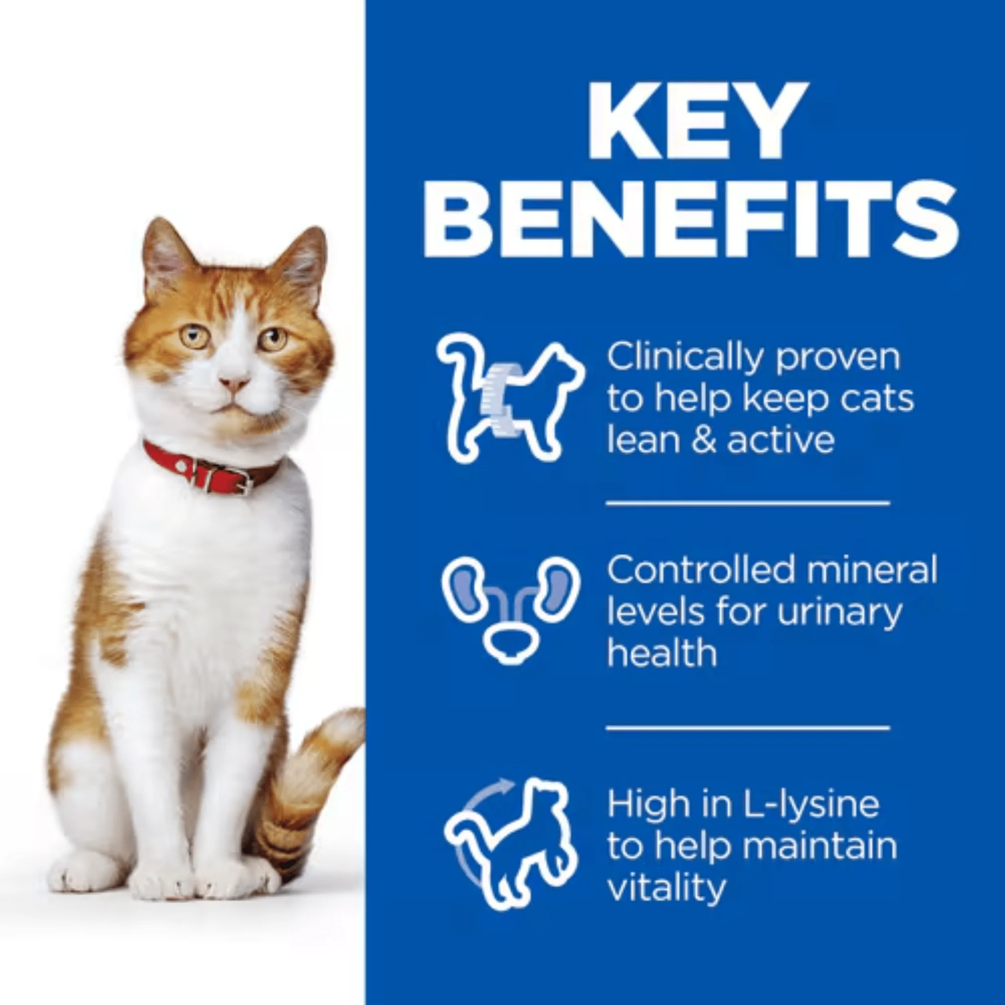 Hill's Cat Science Plan Sterilised Adult Chicken - Image 3