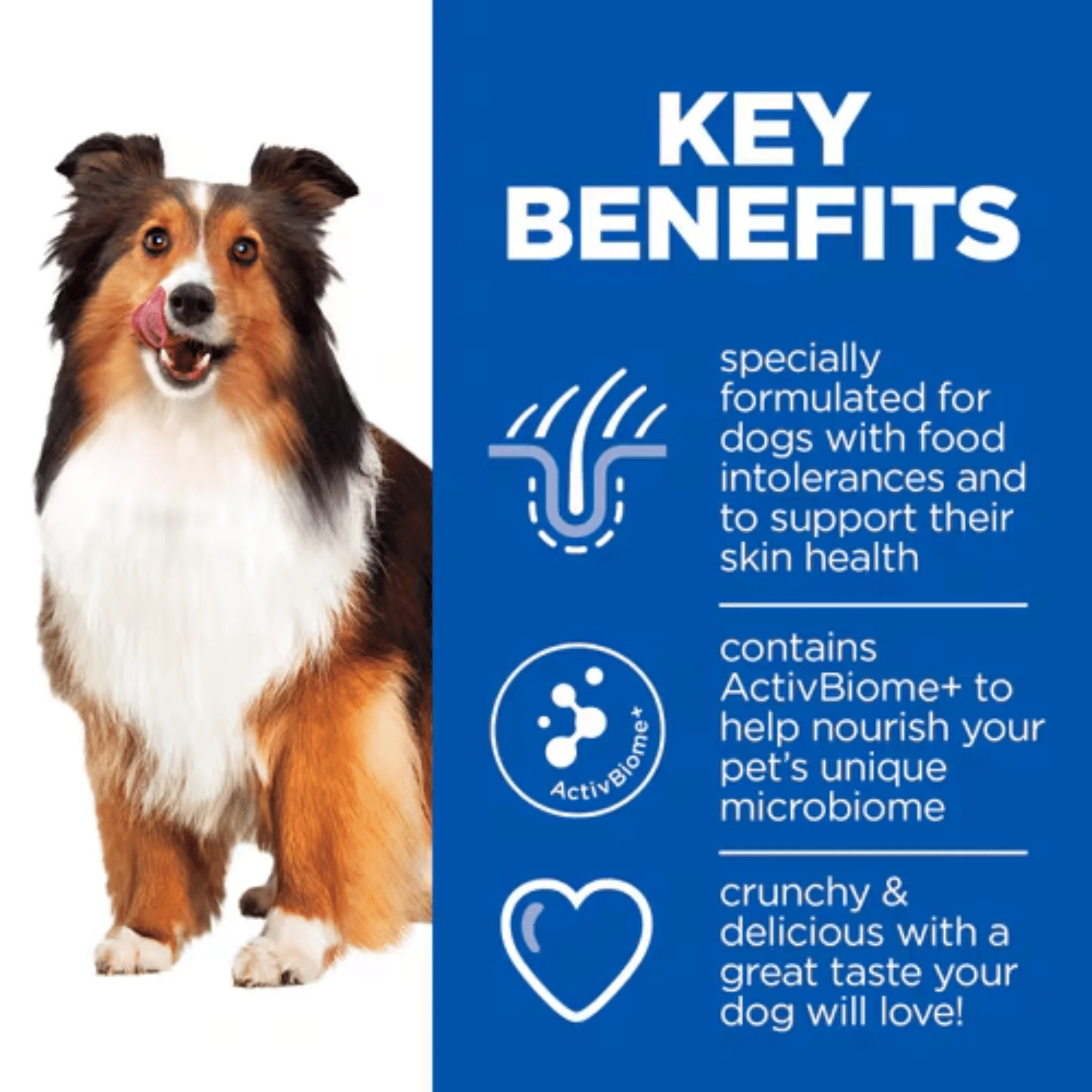 Hills Hypoallergenic Dog Treats - Image 3