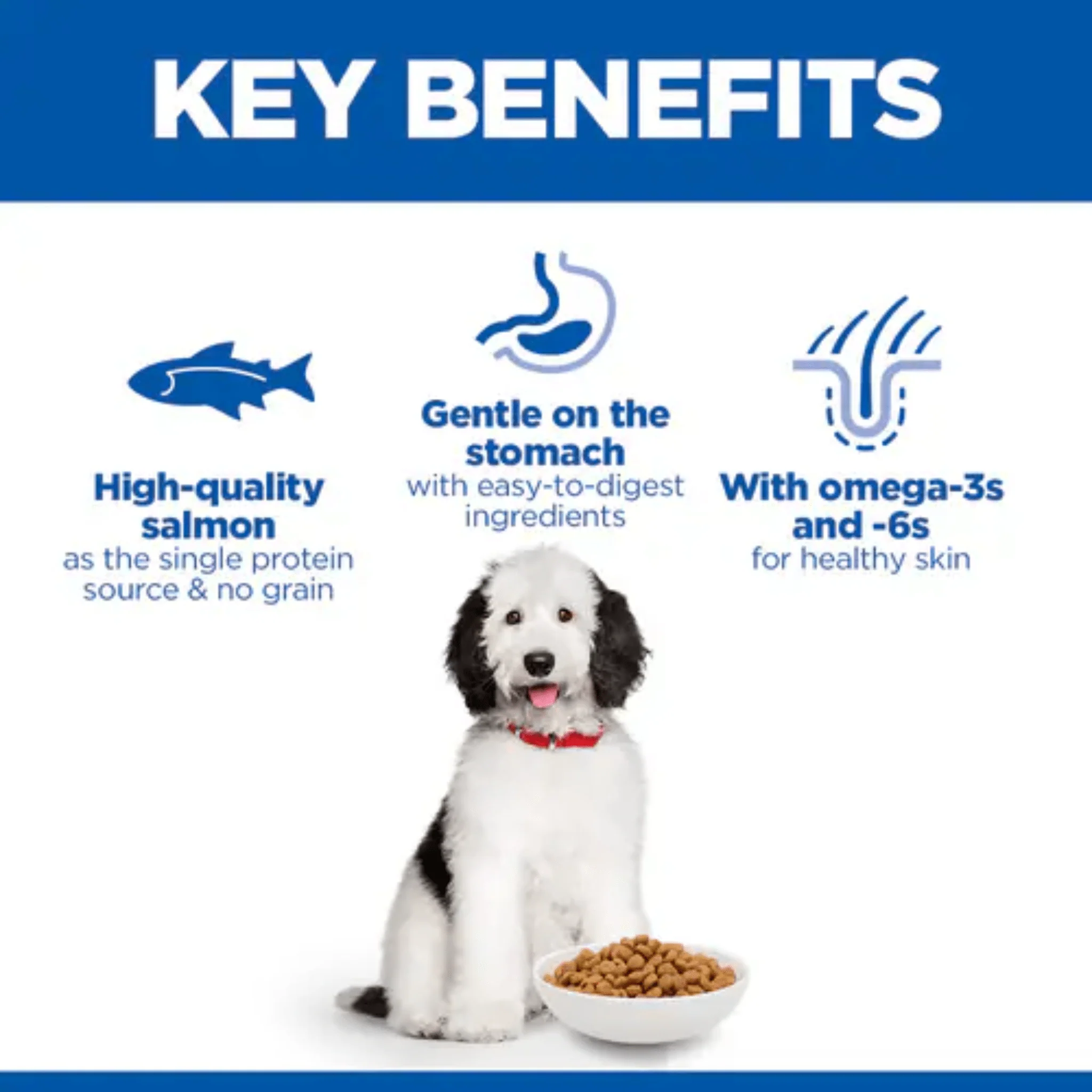 Hill's Hypoallergenic Large Adult Dog Food - 14kg - Image 3