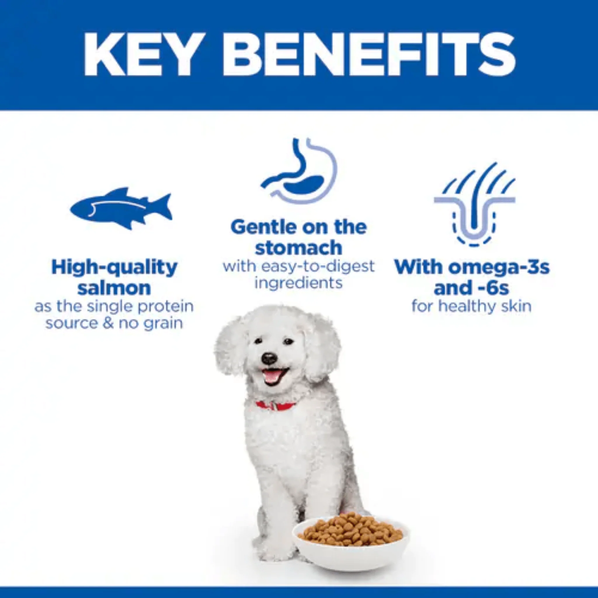 Hill's Hypoallergenic Small Adult Dog Food - Image 3