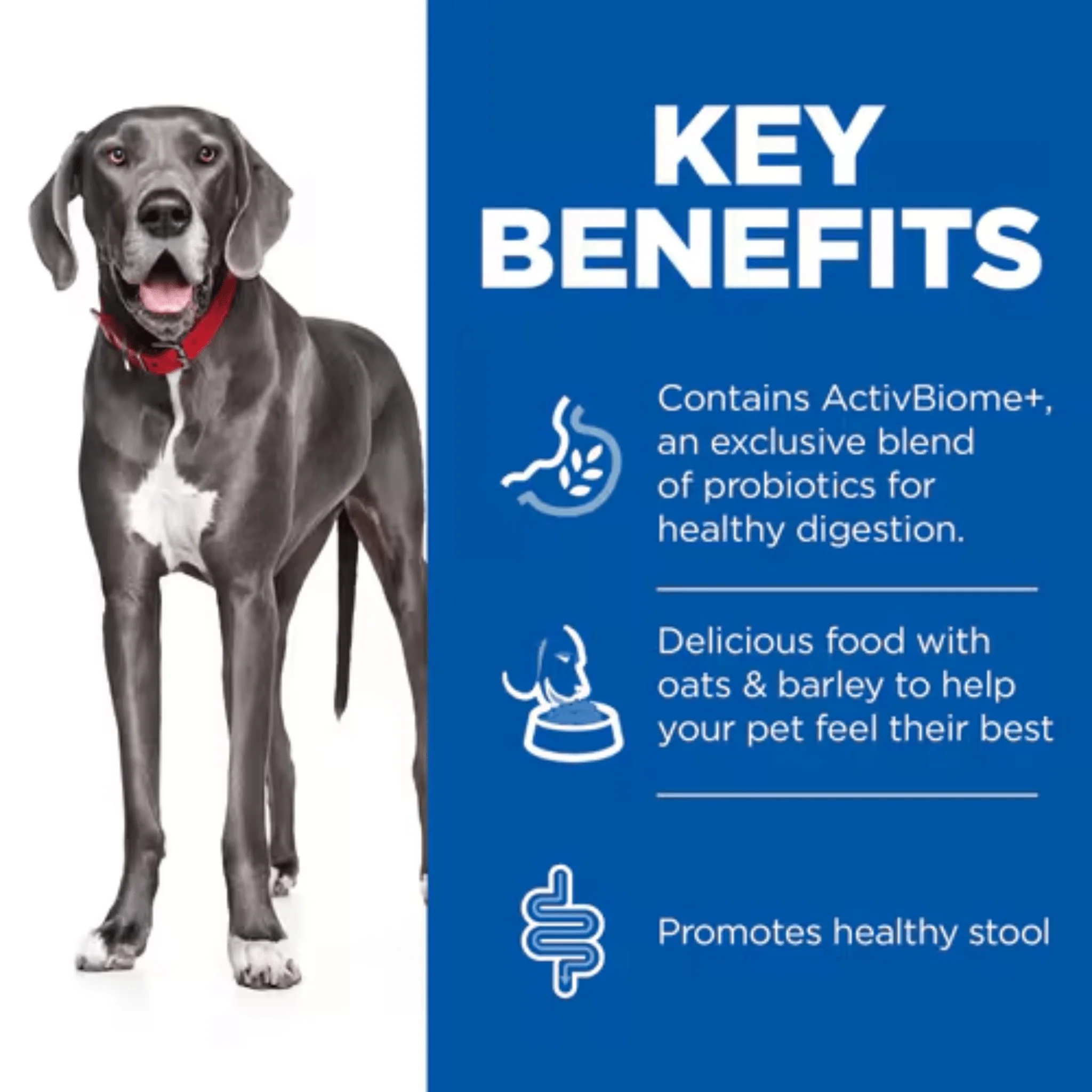 Hill's Perfect Digestion Adult Large Dry Dog Food - 14kg - Image 3