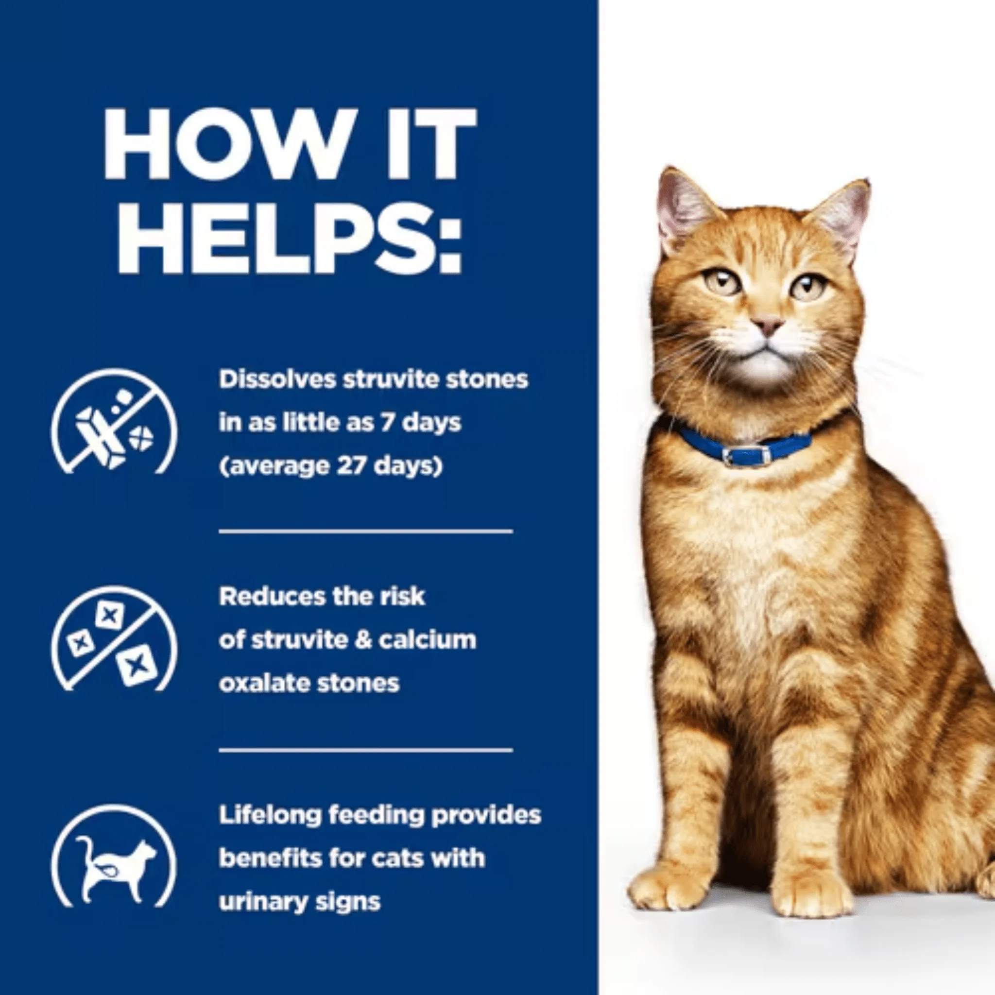 Hills Prescription C/D Multicare Urinary for Adult Cats - Image 3