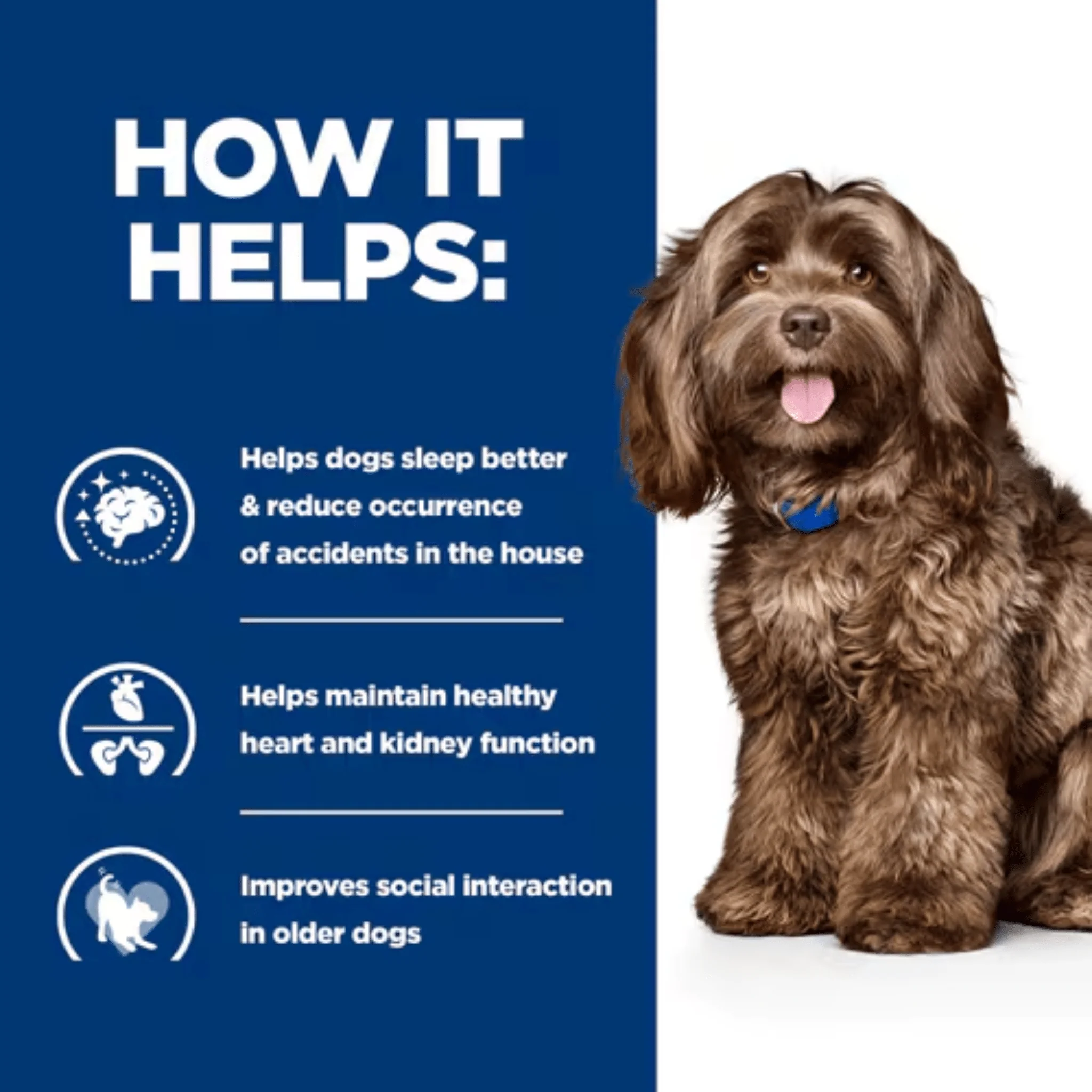 Hill's Prescription Diet B/D Brain Ageing Dry Dog Food - Image 3