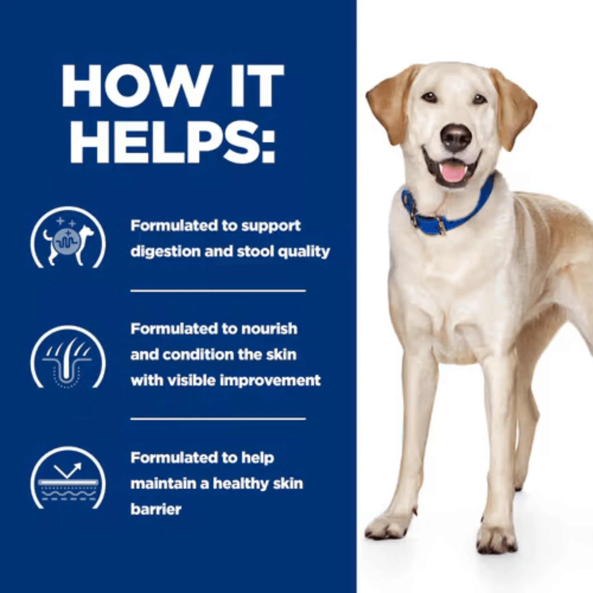 Hill's Prescription Diet D/D Food Sensitivities Dry Dog Food - Image 3