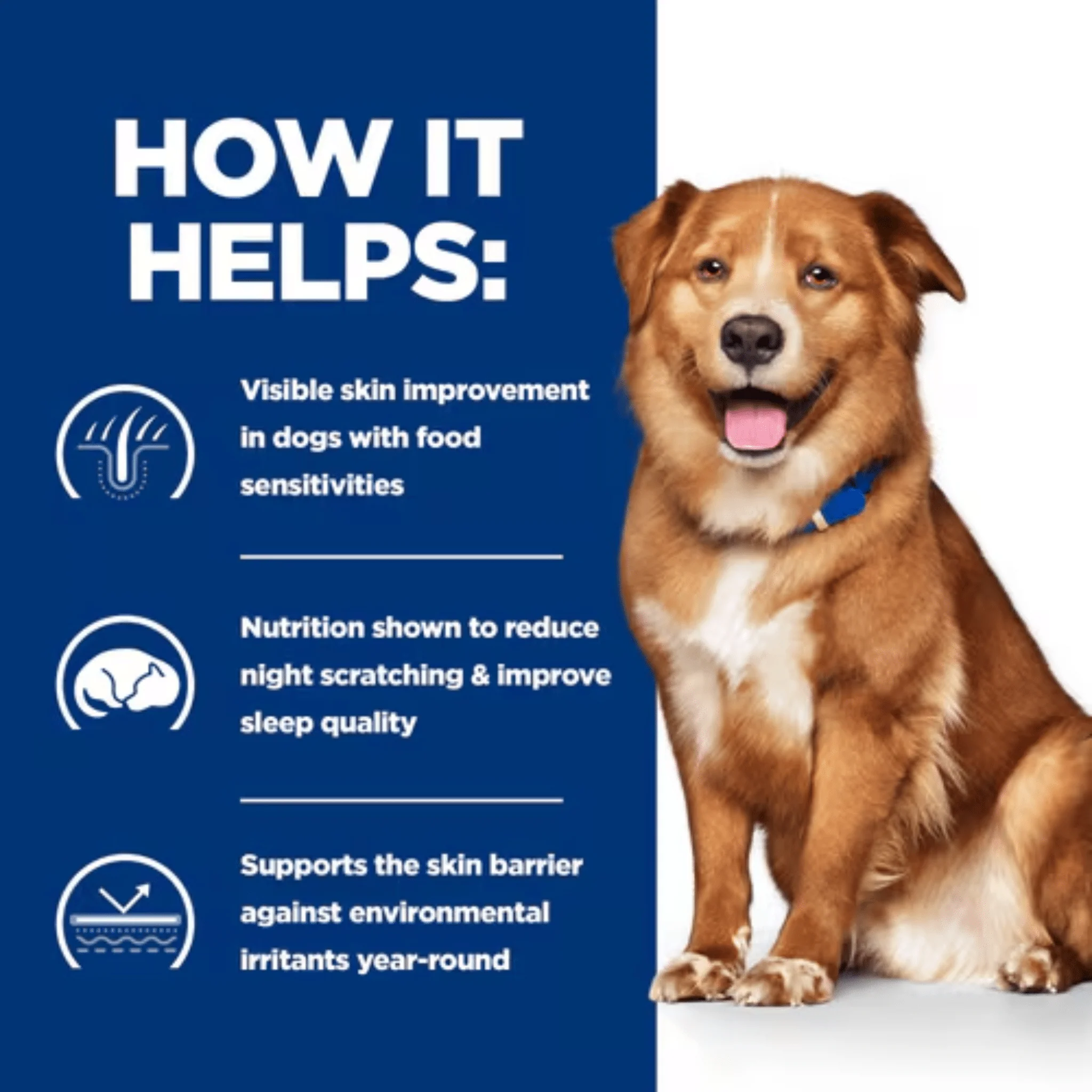 Hill's Prescription Diet Derm Complete Dry Dog Food - Image 3