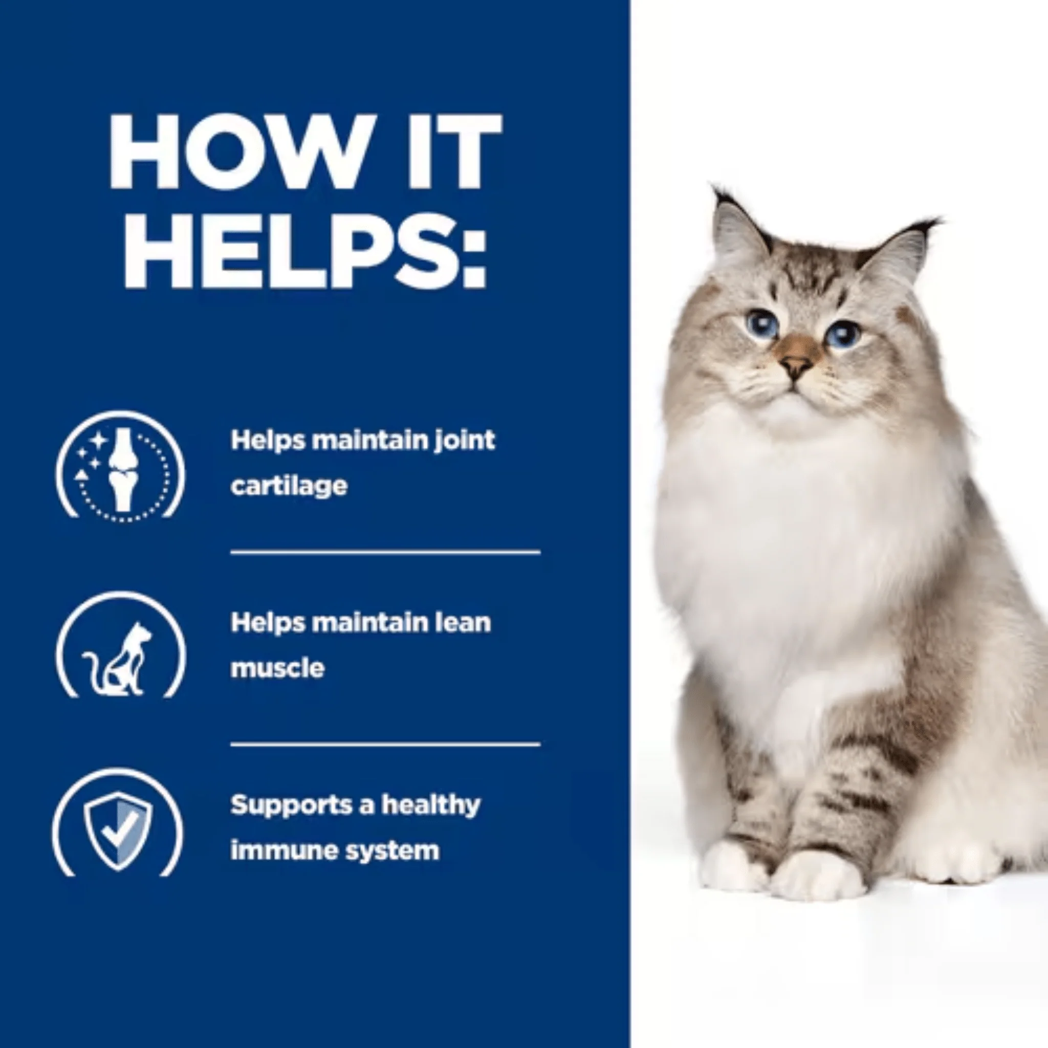 Hills Prescription Diet J/D Joint Mobility Dry Cat Food - Image 3
