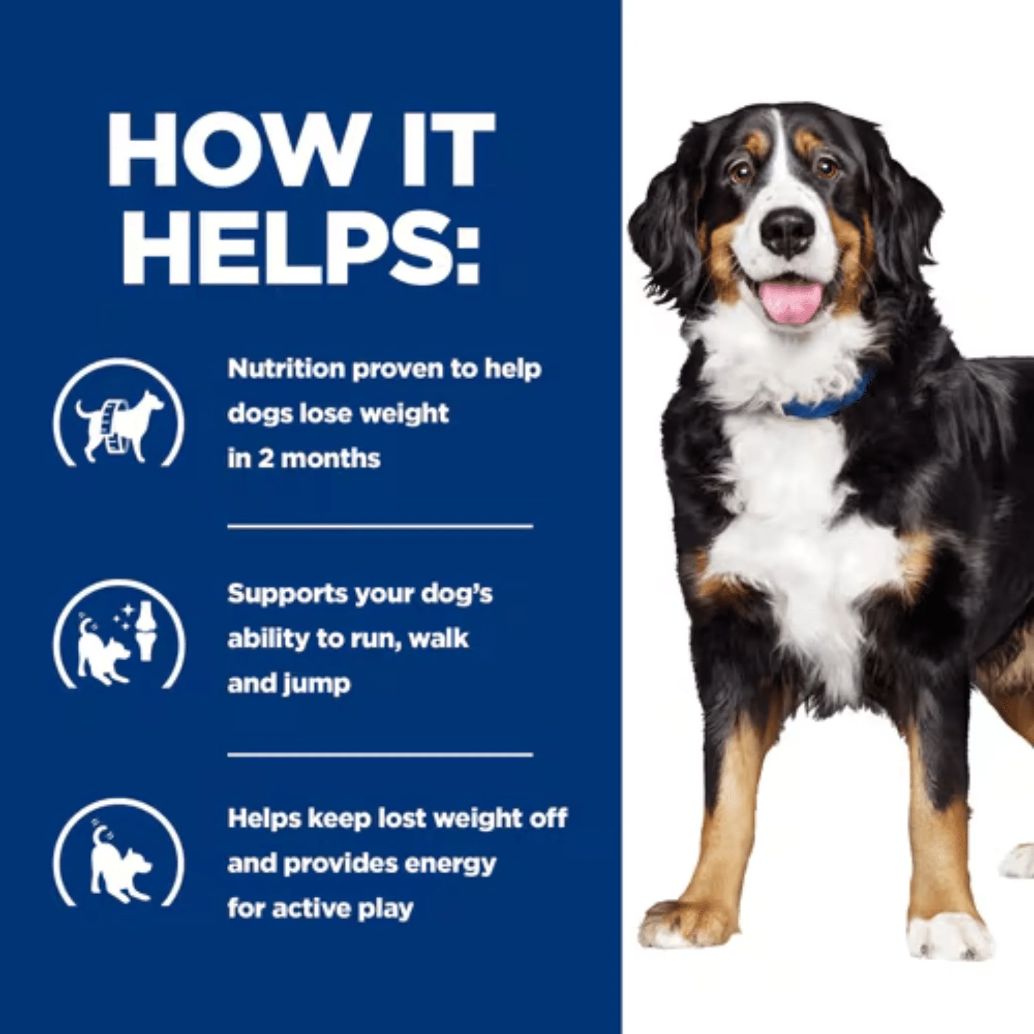 Hill's Prescription Diet J/D Metabolic + Mobility Dry Dog Food - Image 3