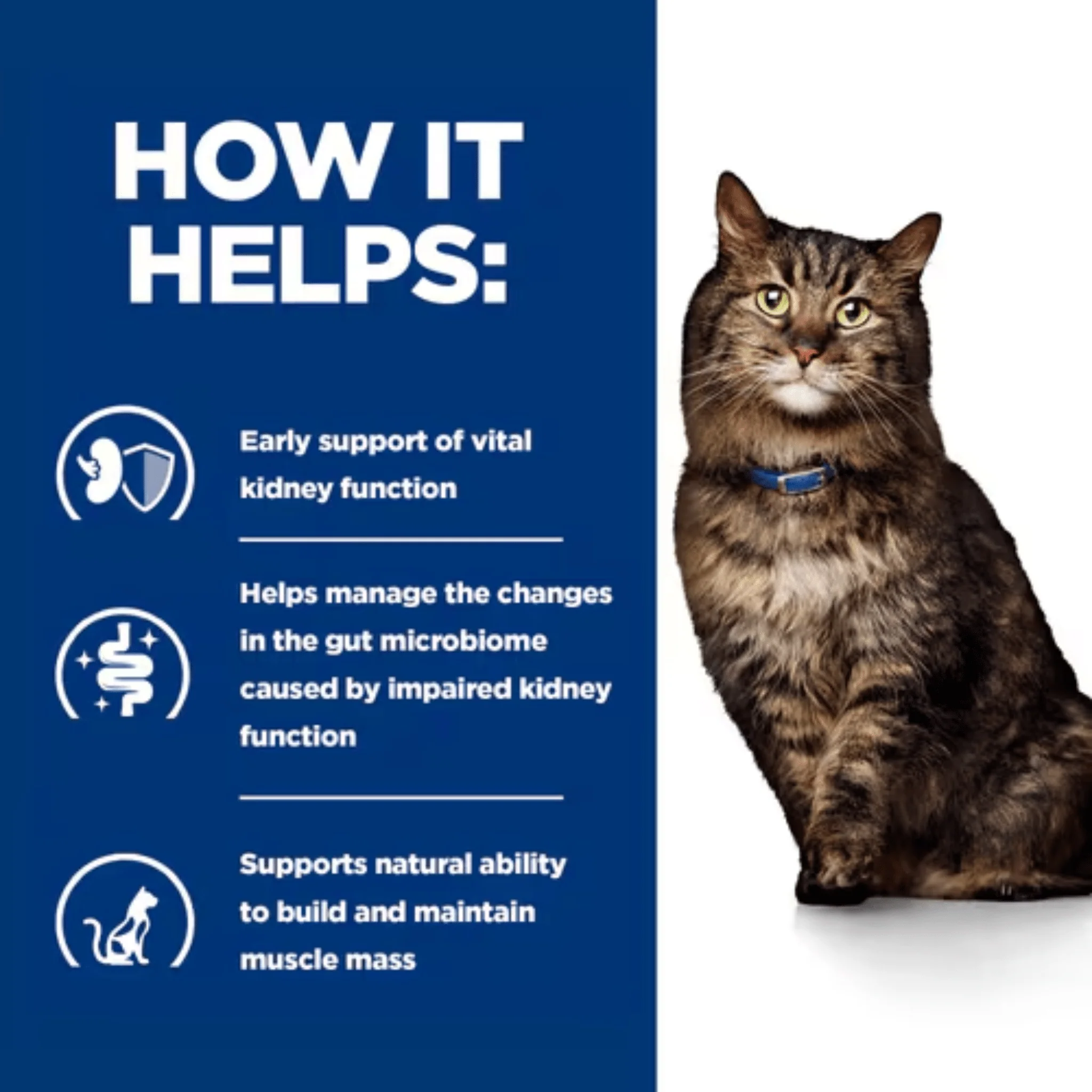 Hills Prescription Diet K/D Early Stage Kidney Care Dry Cat Food - Image 3