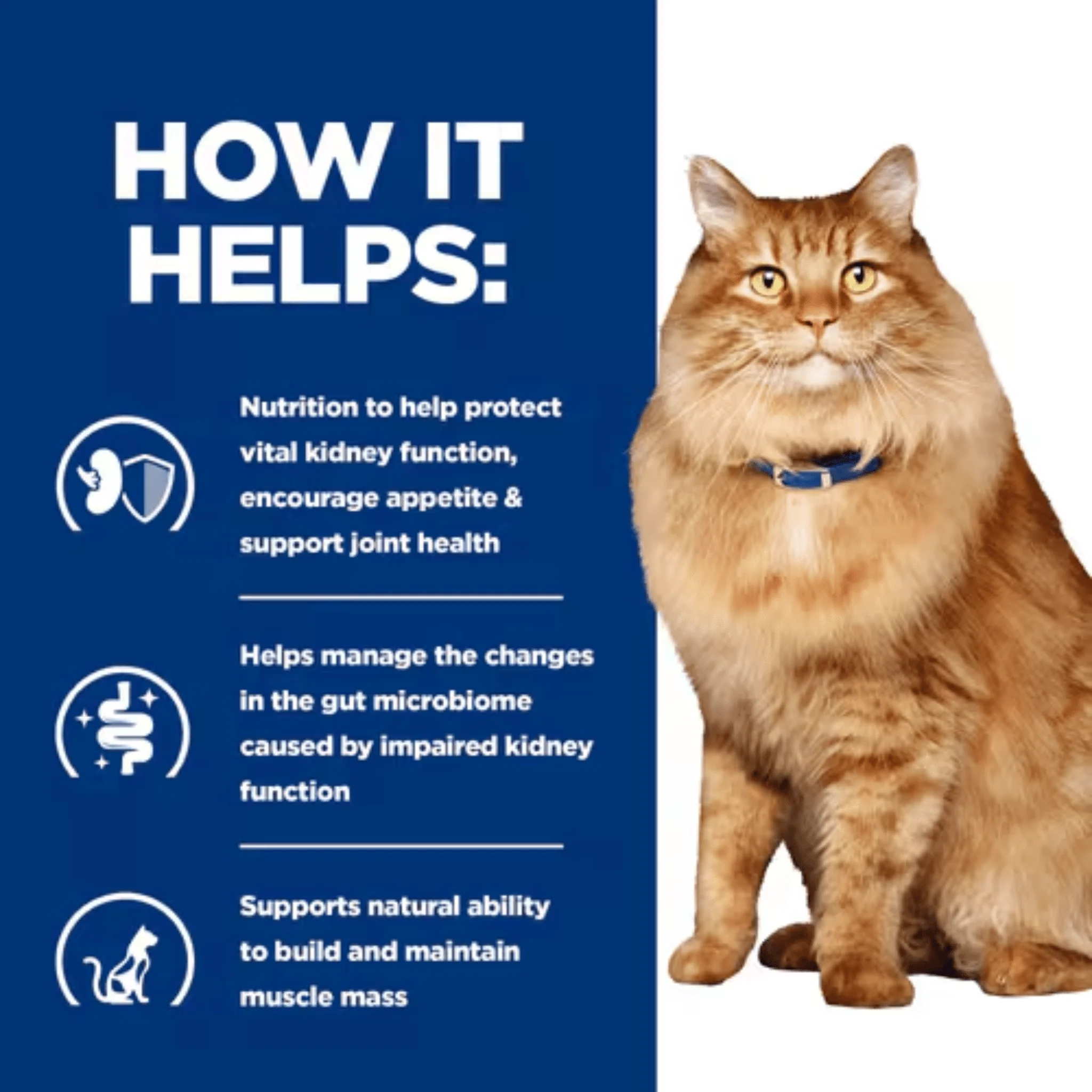 Hills Prescription Diet K/D Kidney +Mobility Dry Cat Food - Image 3