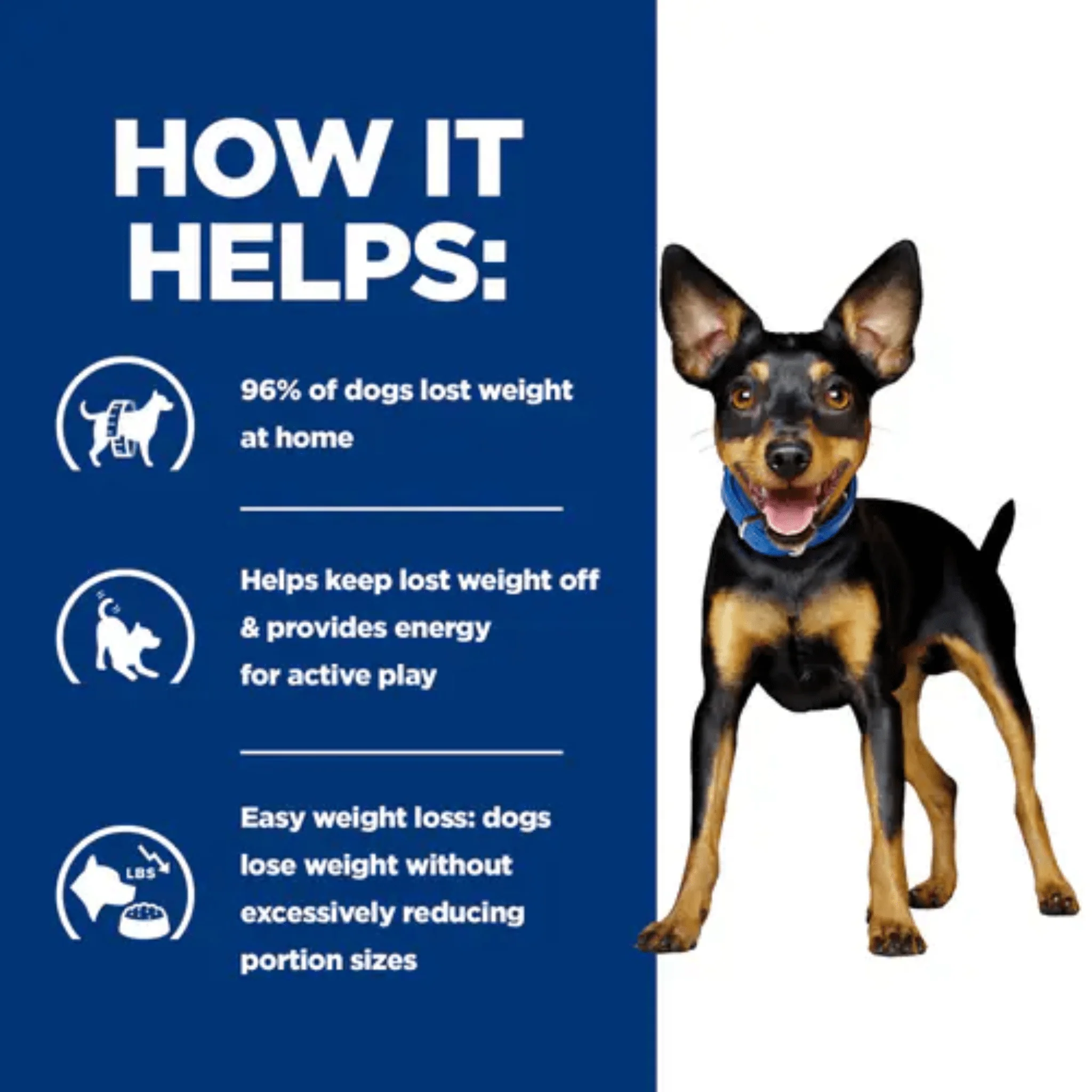 Hill's Prescription Diet Metabolic Mini Dog Dry Food - Image 3