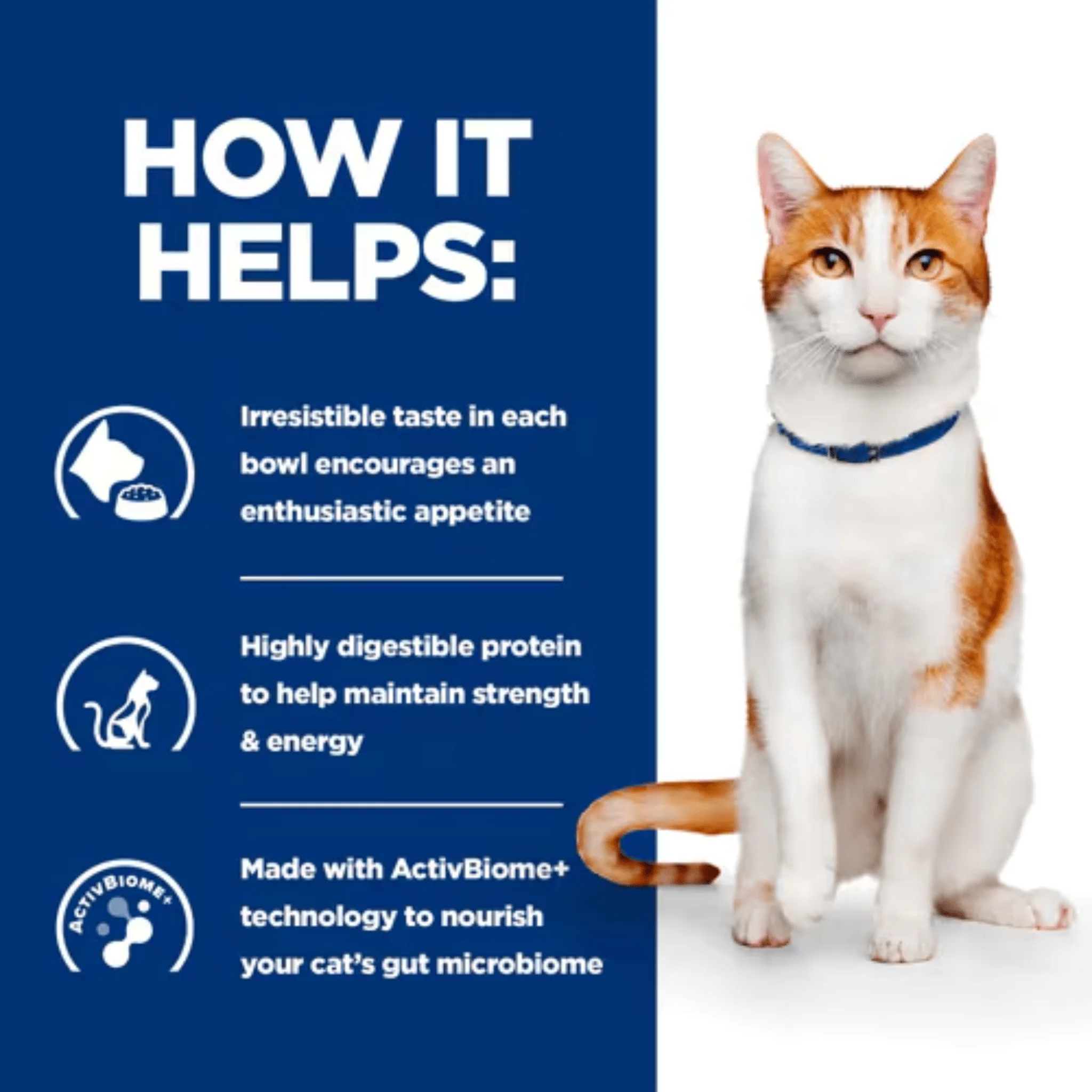 Hill's Prescription Diet On-Care Dry Cat Food - Image 3