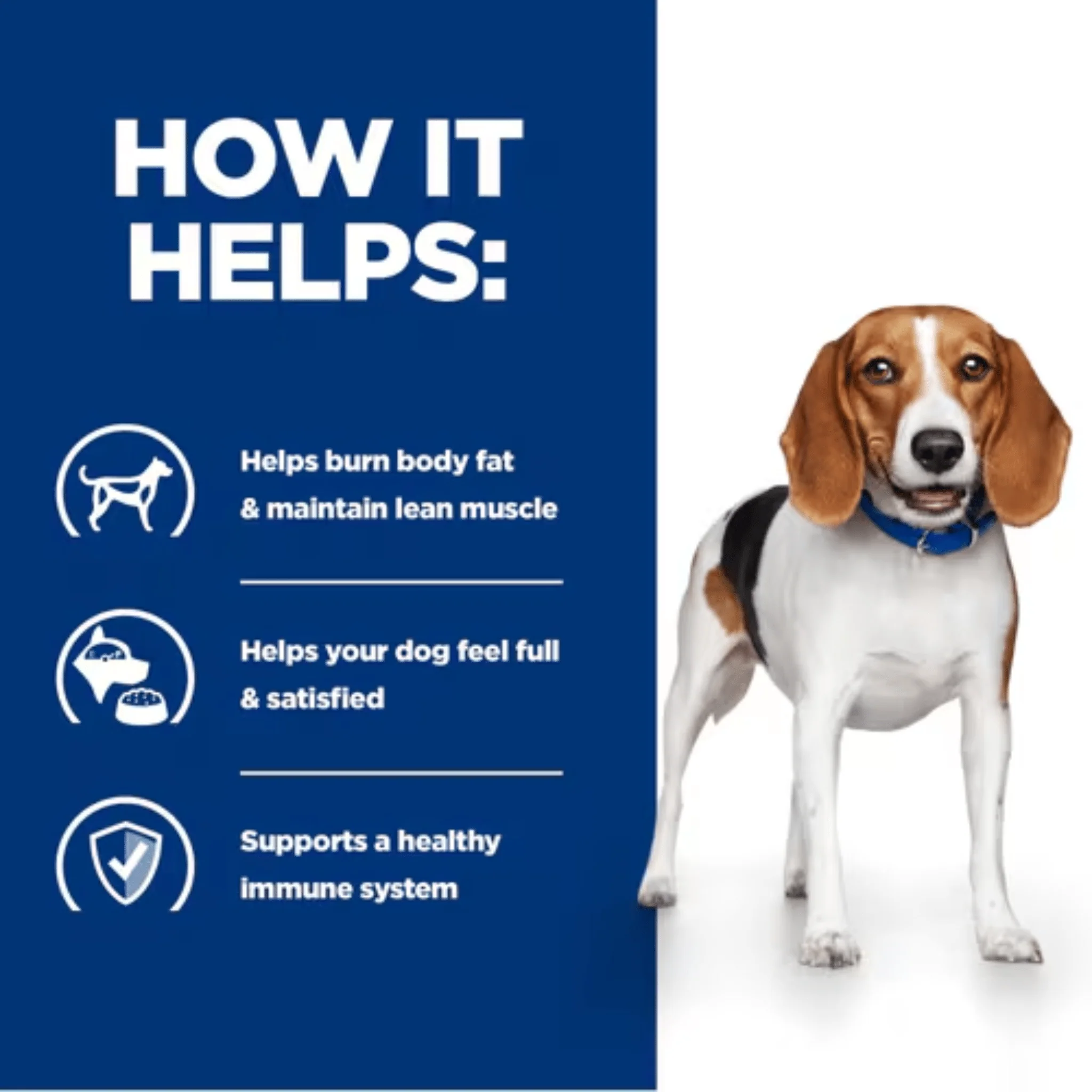 Hill's Prescription Diet R/D Weight Reduction Dog Dry Food - Image 3
