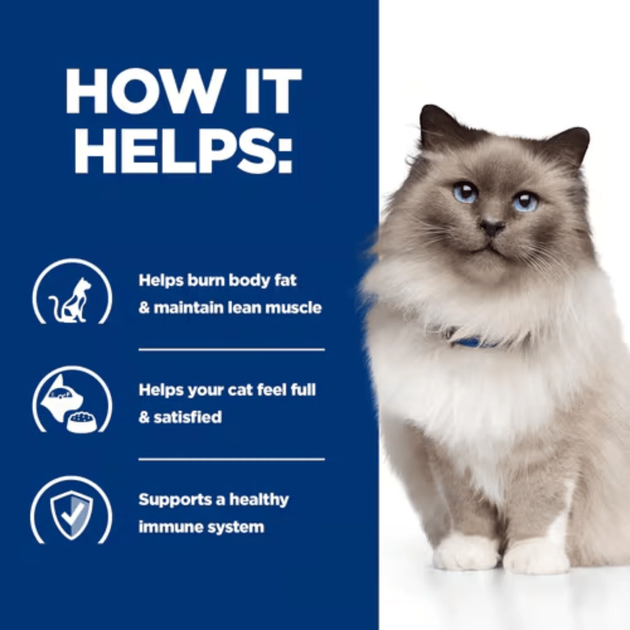 Hills Prescription Diet R/D Weight Reduction Dry Cat Food - Image 3