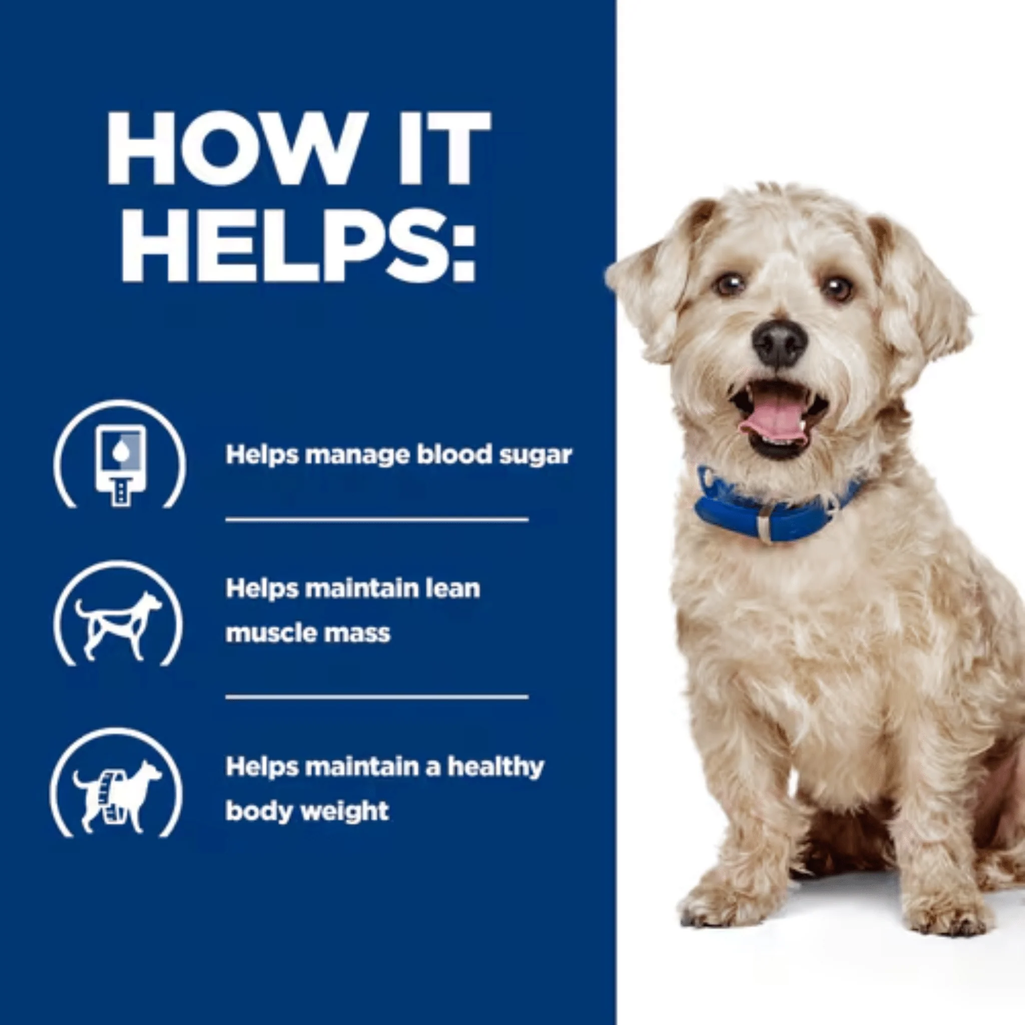 Hill's Prescription Diet W/D Diabetes Dry Dog Food - Image 3