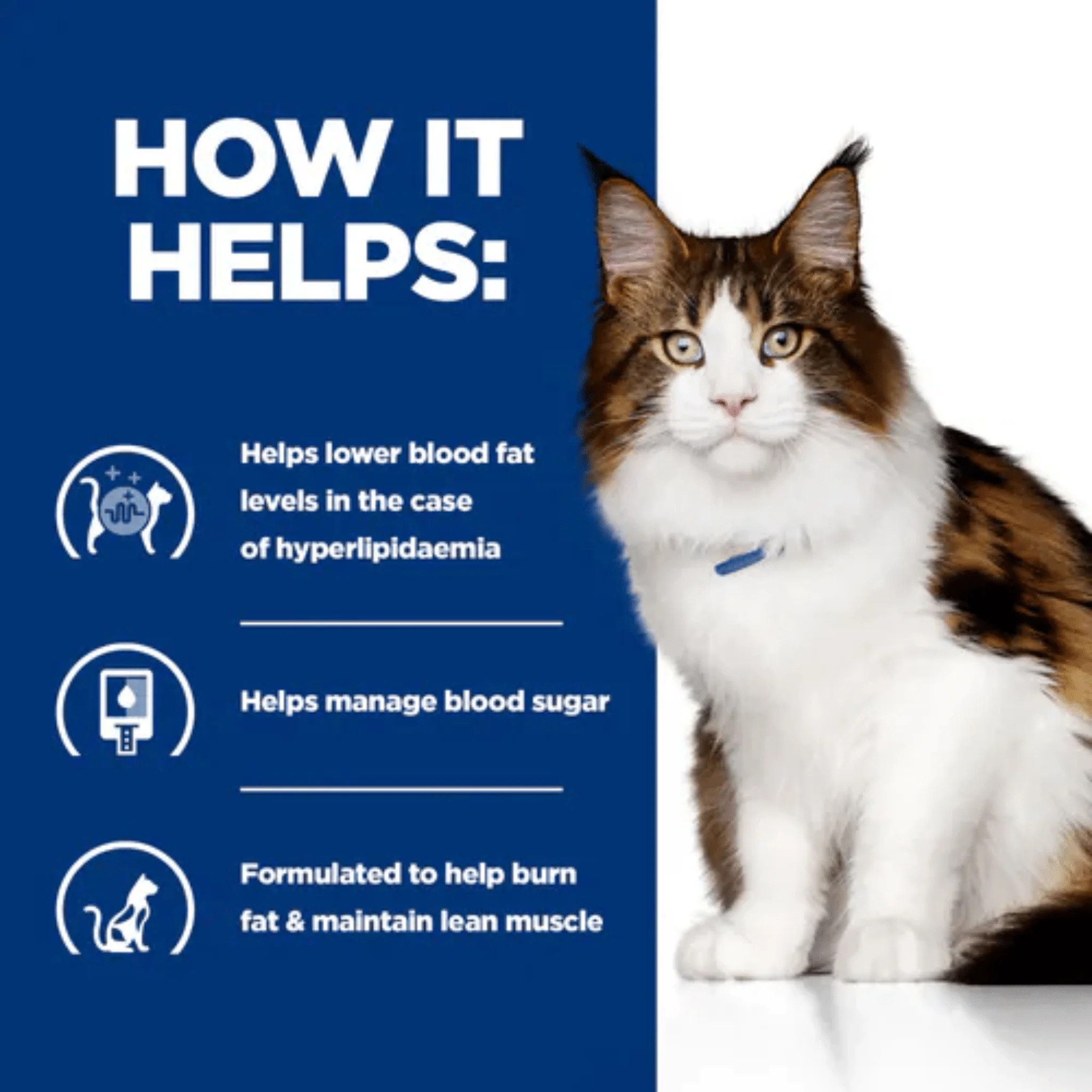 Hills Prescription Diet W/D Multi-Benefit Dry Cat Food - Image 3