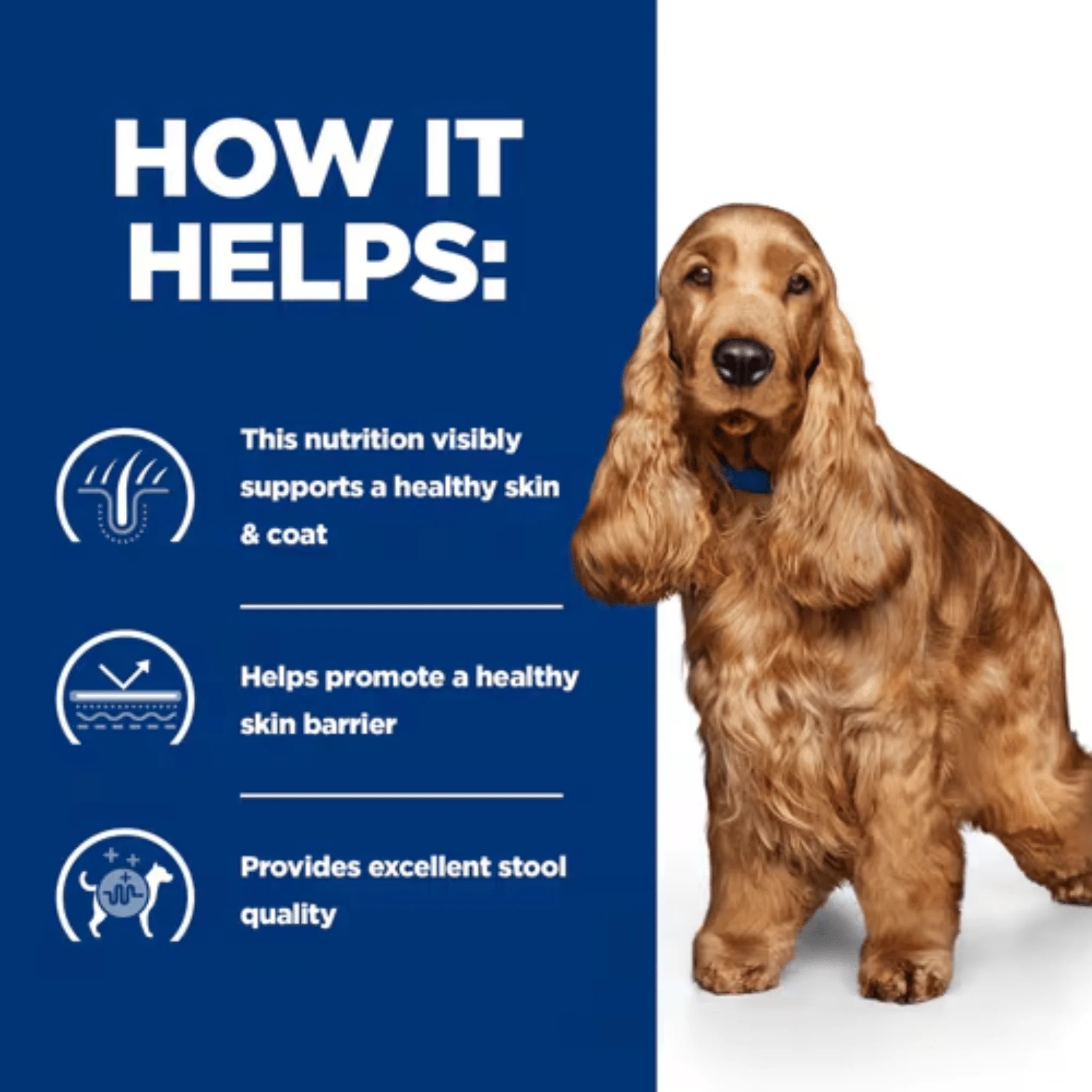 Hill's Prescription Diet Z/D Food Sensitivities Dog Dry Food - Image 3