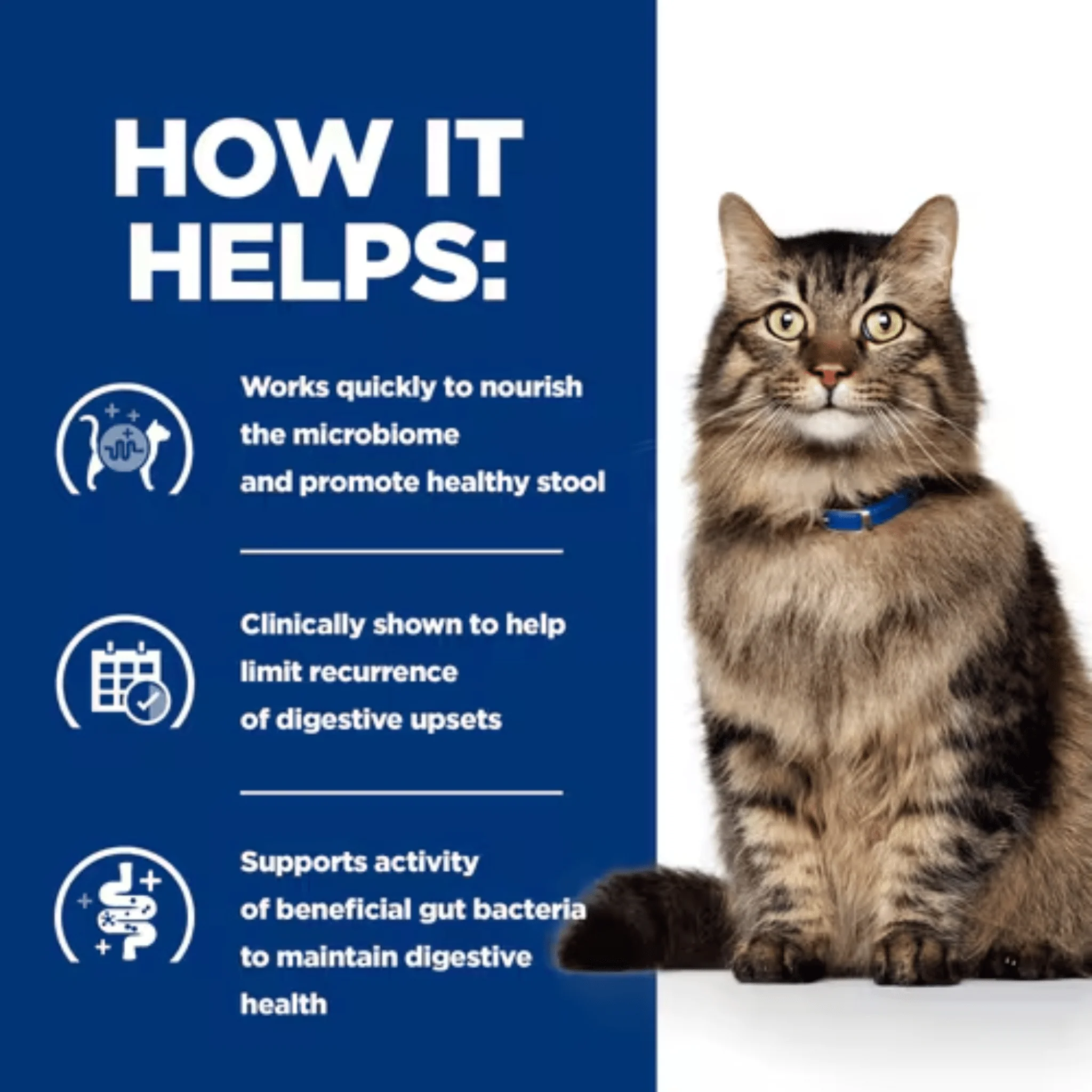 Hills Prescription Gastrointestinal Biome Stew for Adult Cats - Image 3