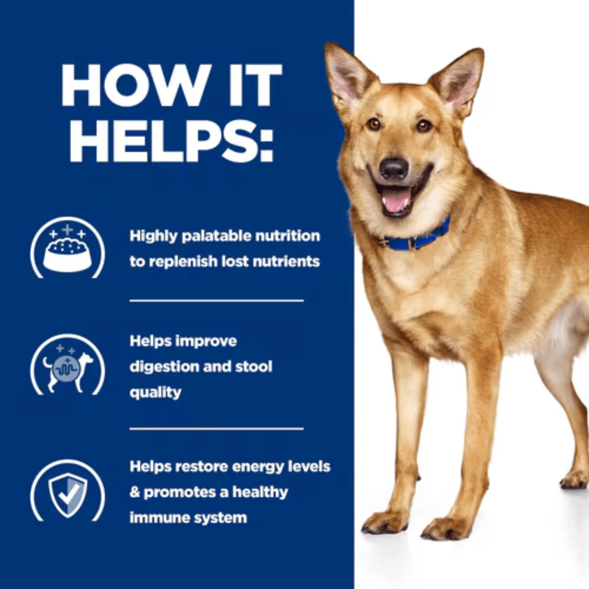 Hills Prescription I/D Digestive Care Stew Dog Food - Image 4
