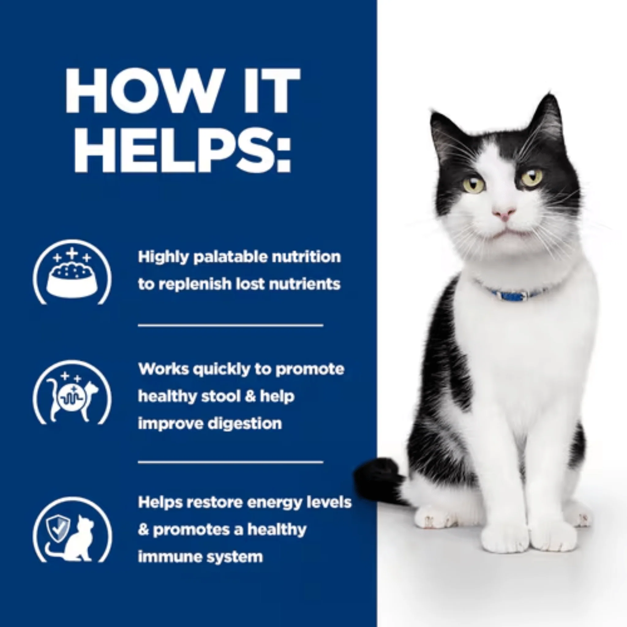 Hills Prescription I/D Digestive Care Stew for Adult Cats - Image 3