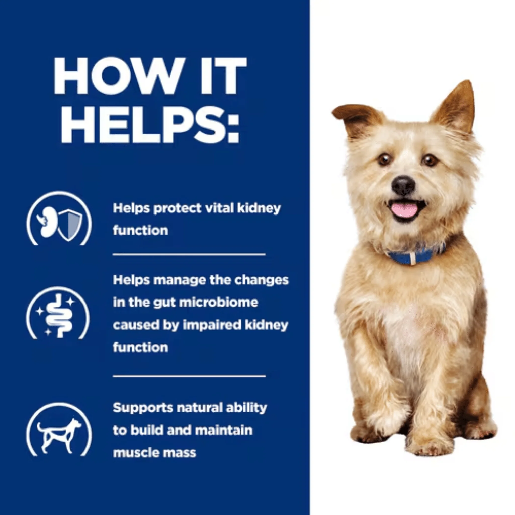 Hills Prescription K/D Kidney Care Adult Dog Wet Food - Image 4